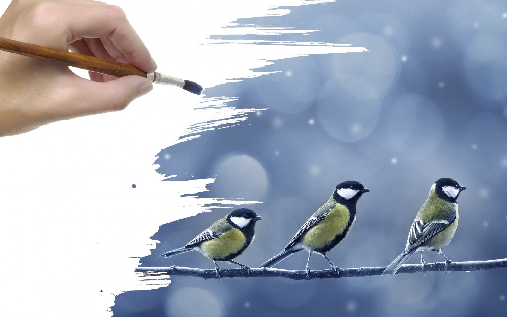 143612 завантажити картинку арт, сніг, рука, малюнок, креслення, гілка, пензлик, щітка, пташки, птахів, синиці - шпалери і заставки безкоштовно