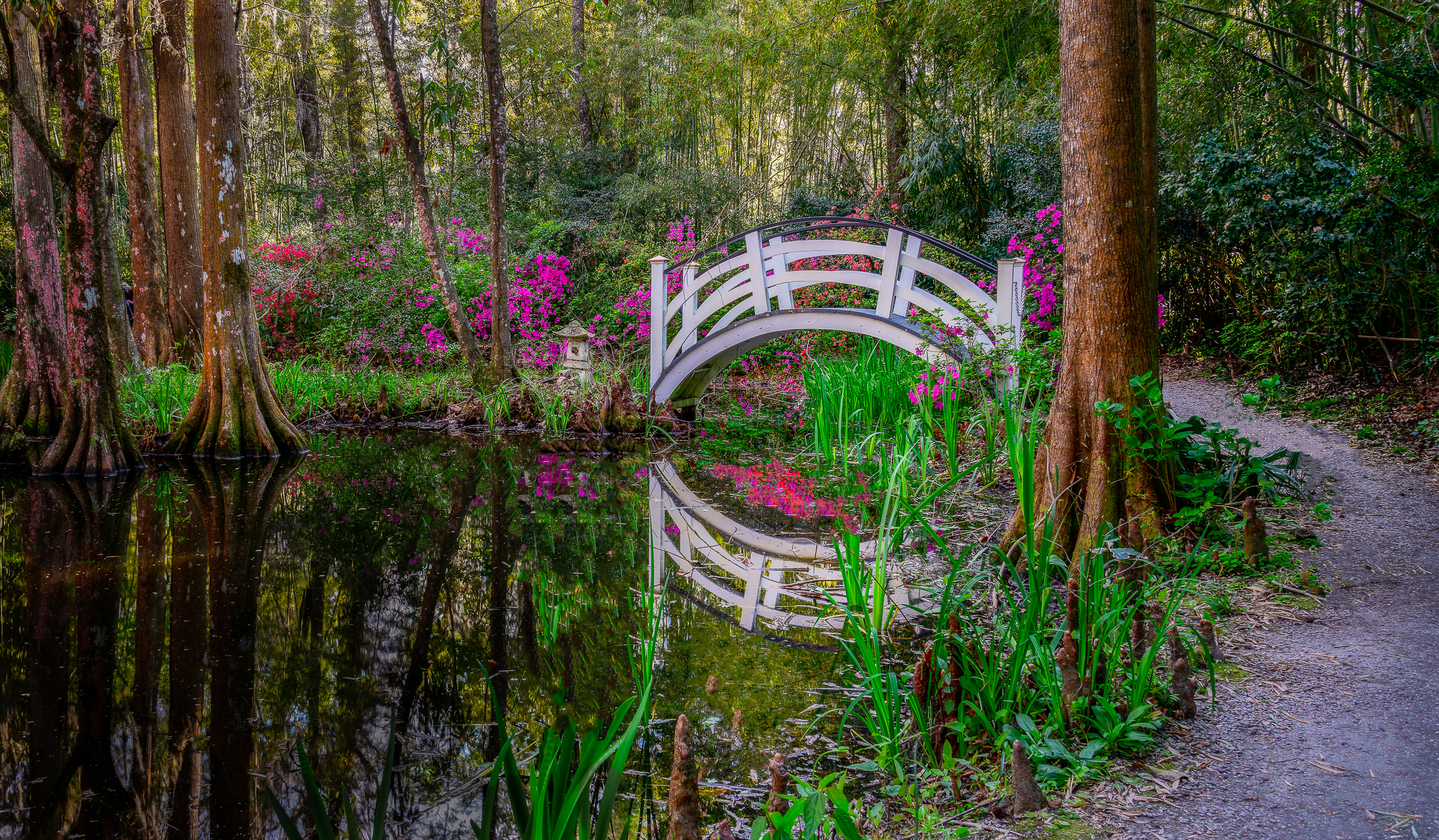 Download mobile wallpaper Nature, Reflection, Forest, Earth, Path, Bridge for free.