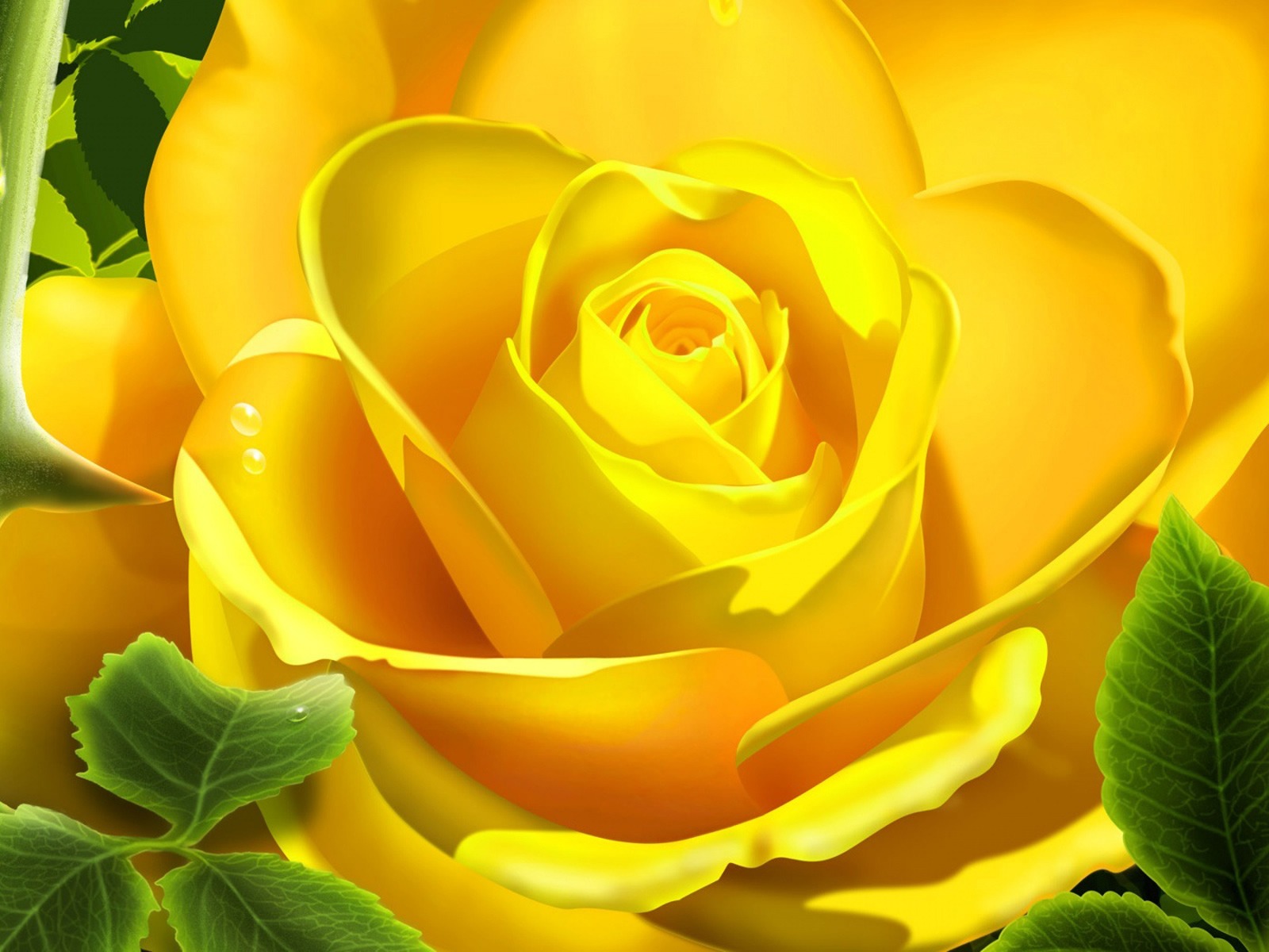 Free download wallpaper Flowers, Rose, Earth on your PC desktop