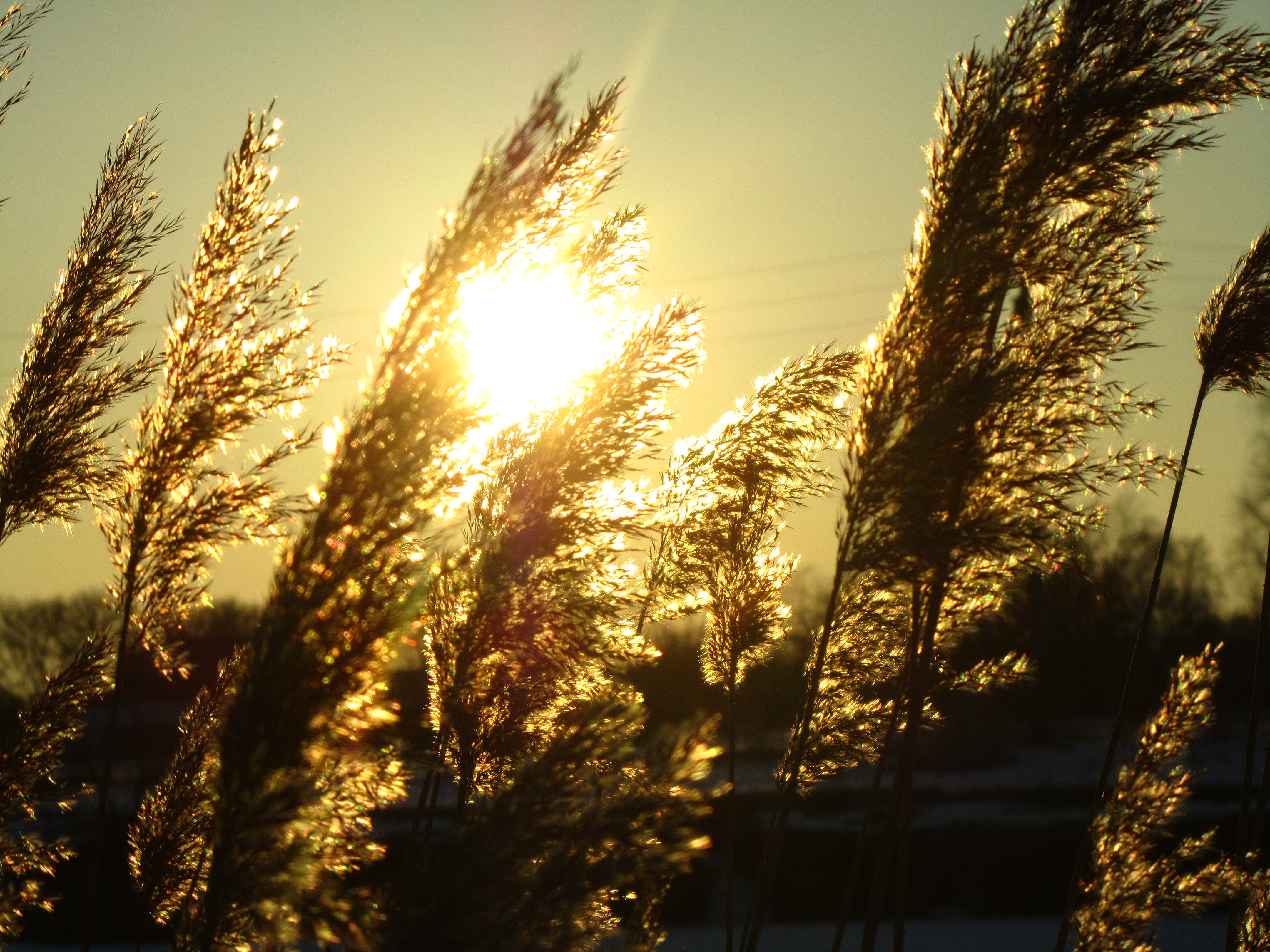 Descarga gratis la imagen Rayo De Sol, Tierra/naturaleza en el escritorio de tu PC