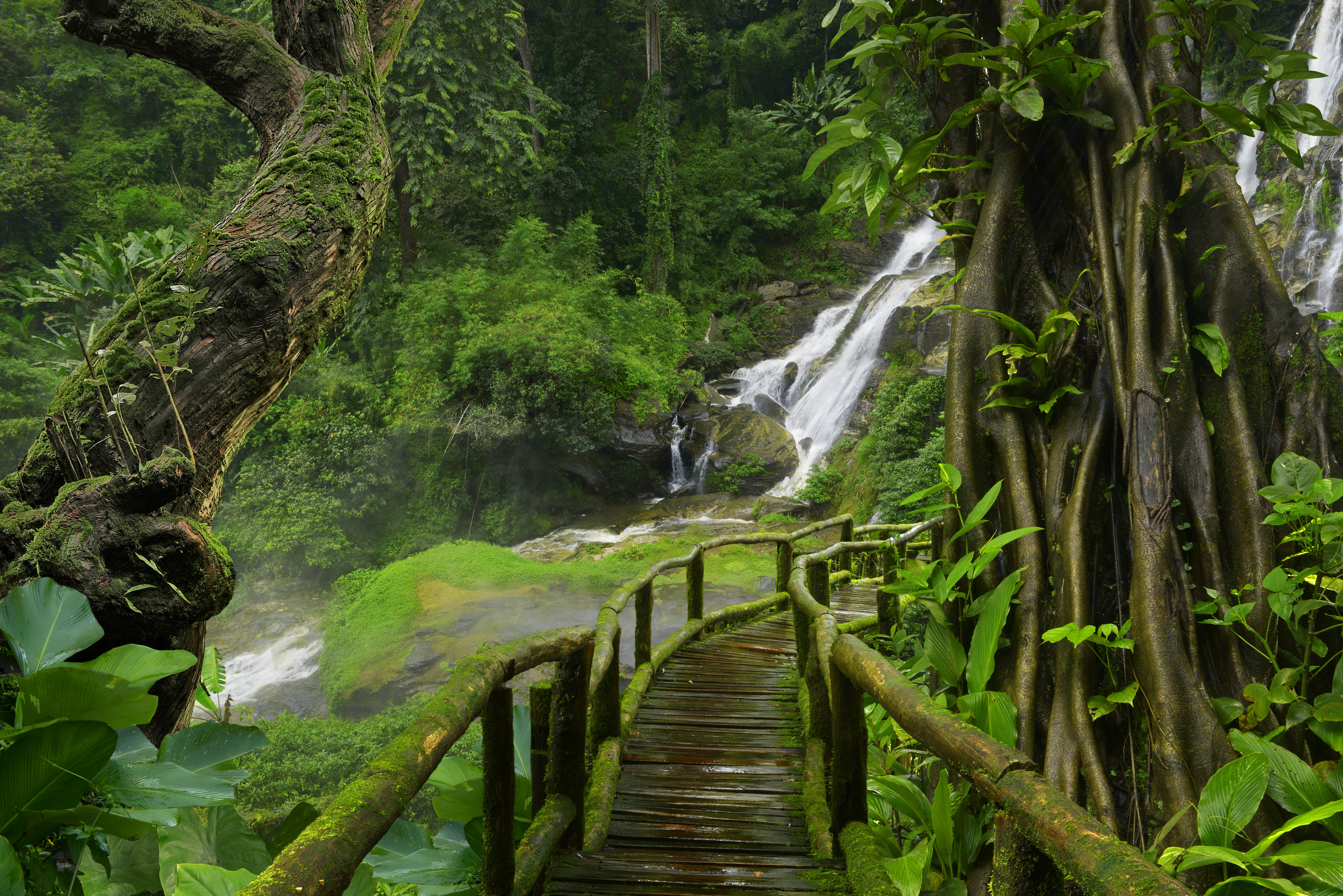 Free download wallpaper Waterfalls, Waterfall, Forest, Earth, Bridge, Tropical, Thailand on your PC desktop