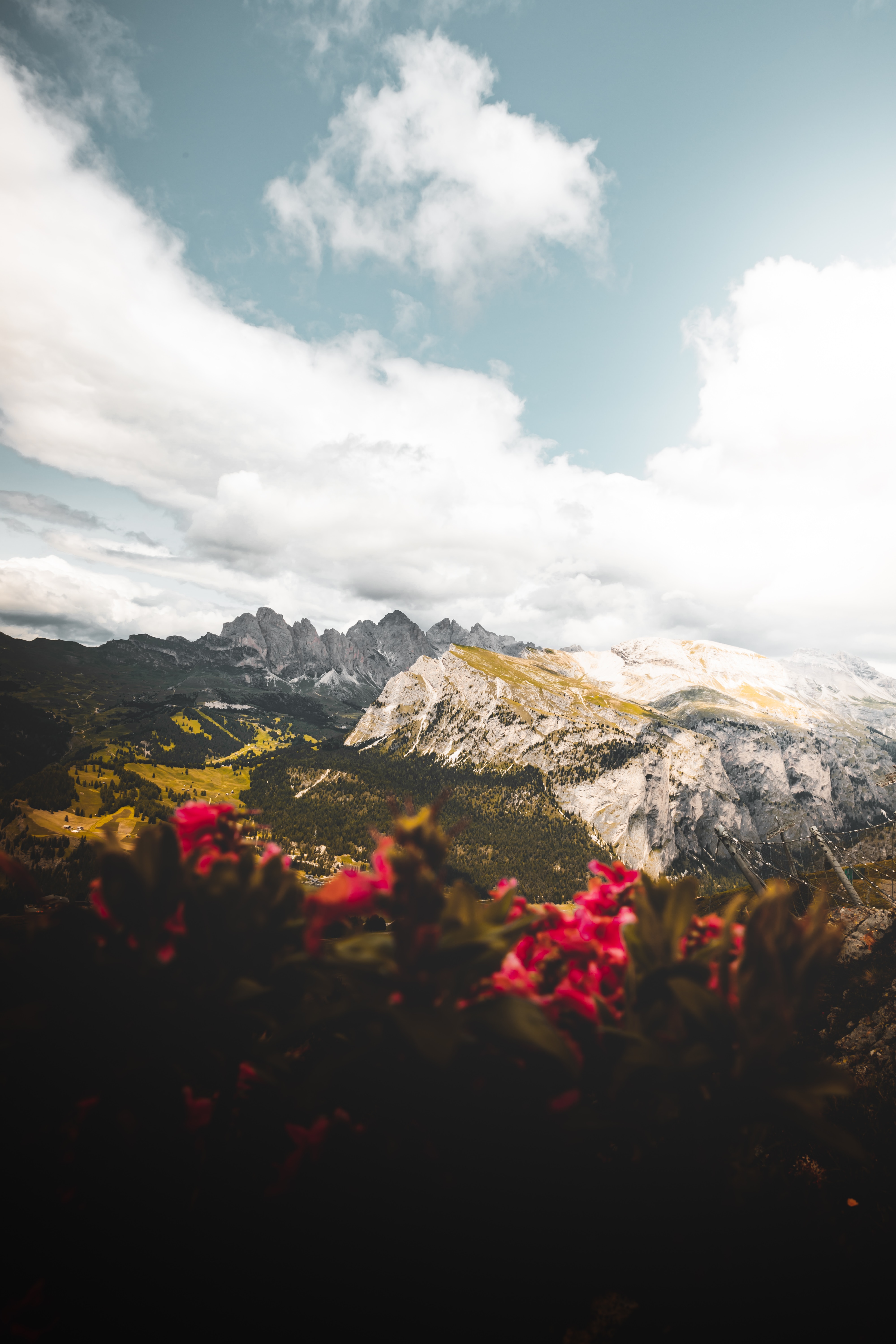 Free download wallpaper Flowers, Mountains, Clouds, Height, Nature, Vertex, Tops on your PC desktop