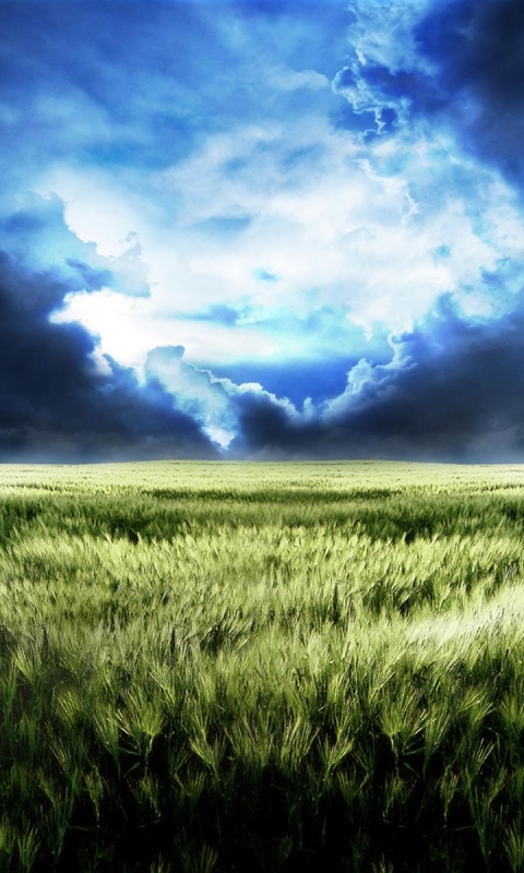 Download mobile wallpaper Landscape, Sky, Plant, Earth, Field, Cloud, Cgi for free.