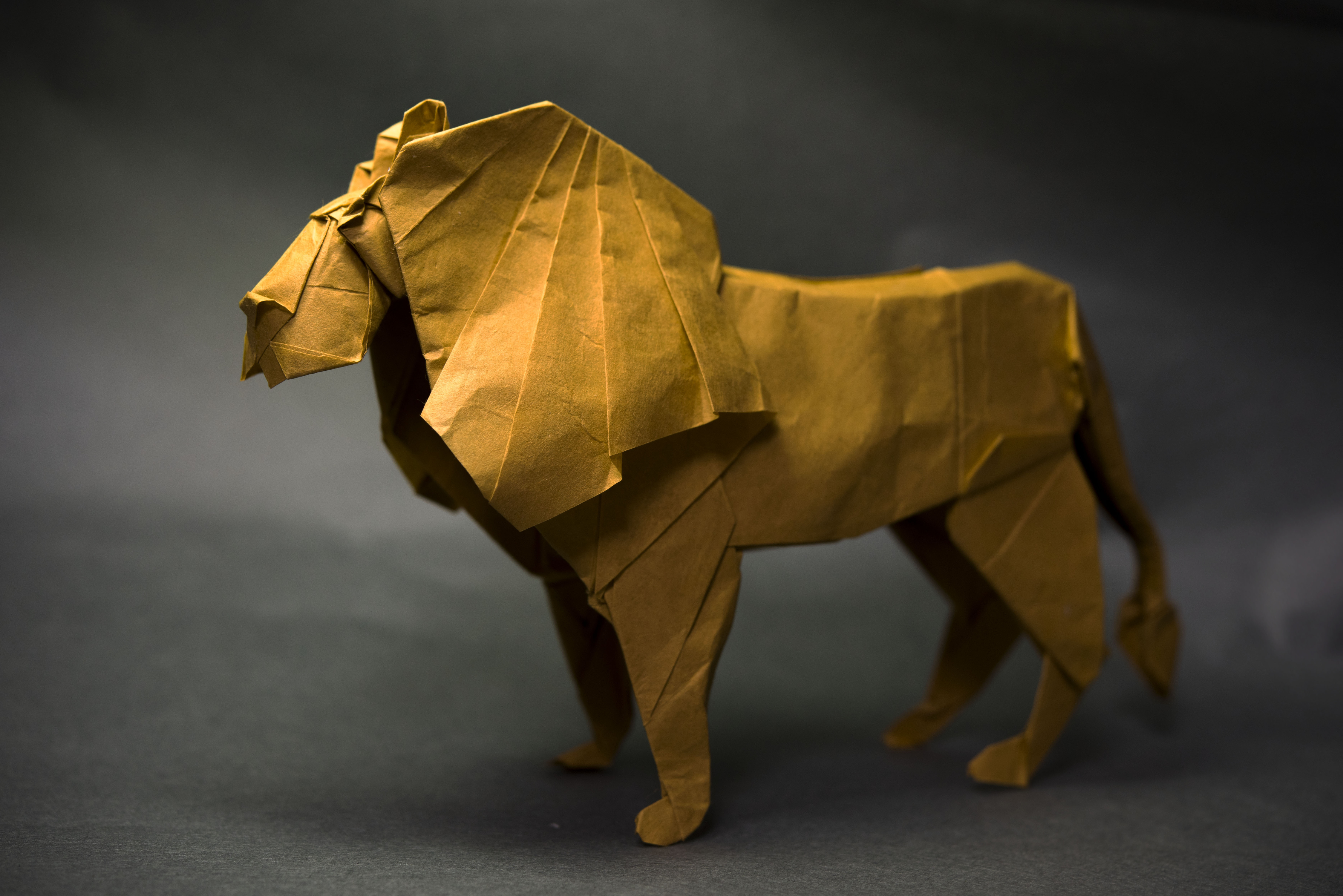 Free download wallpaper Lion, Origami, Man Made on your PC desktop