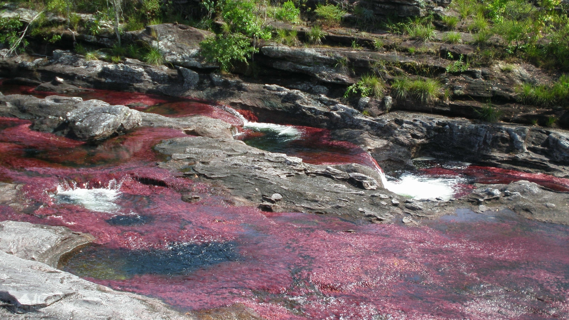 641147 télécharger l'image terre/nature, caño cristales - fonds d'écran et économiseurs d'écran gratuits