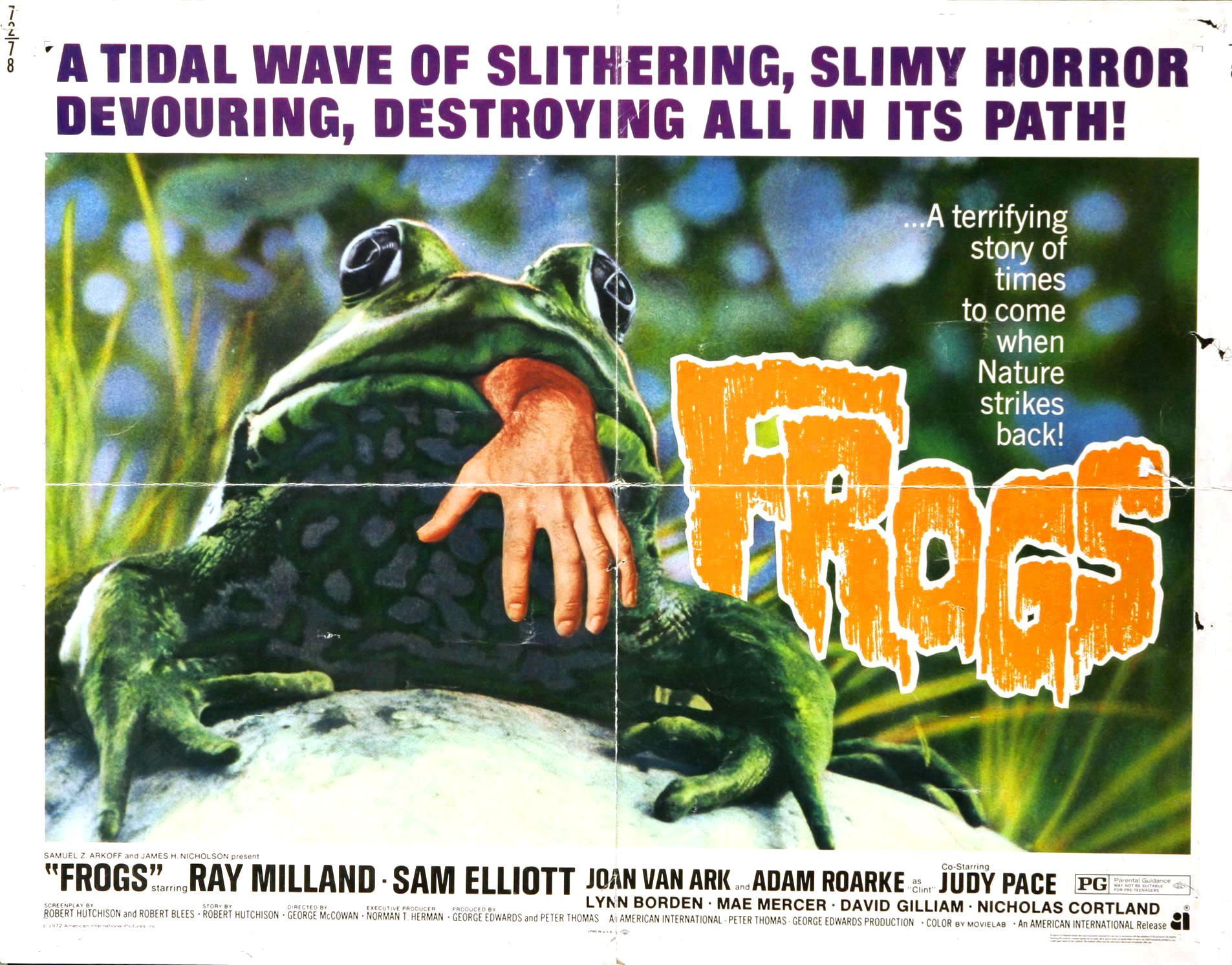 Free download wallpaper Frogs, Movie on your PC desktop