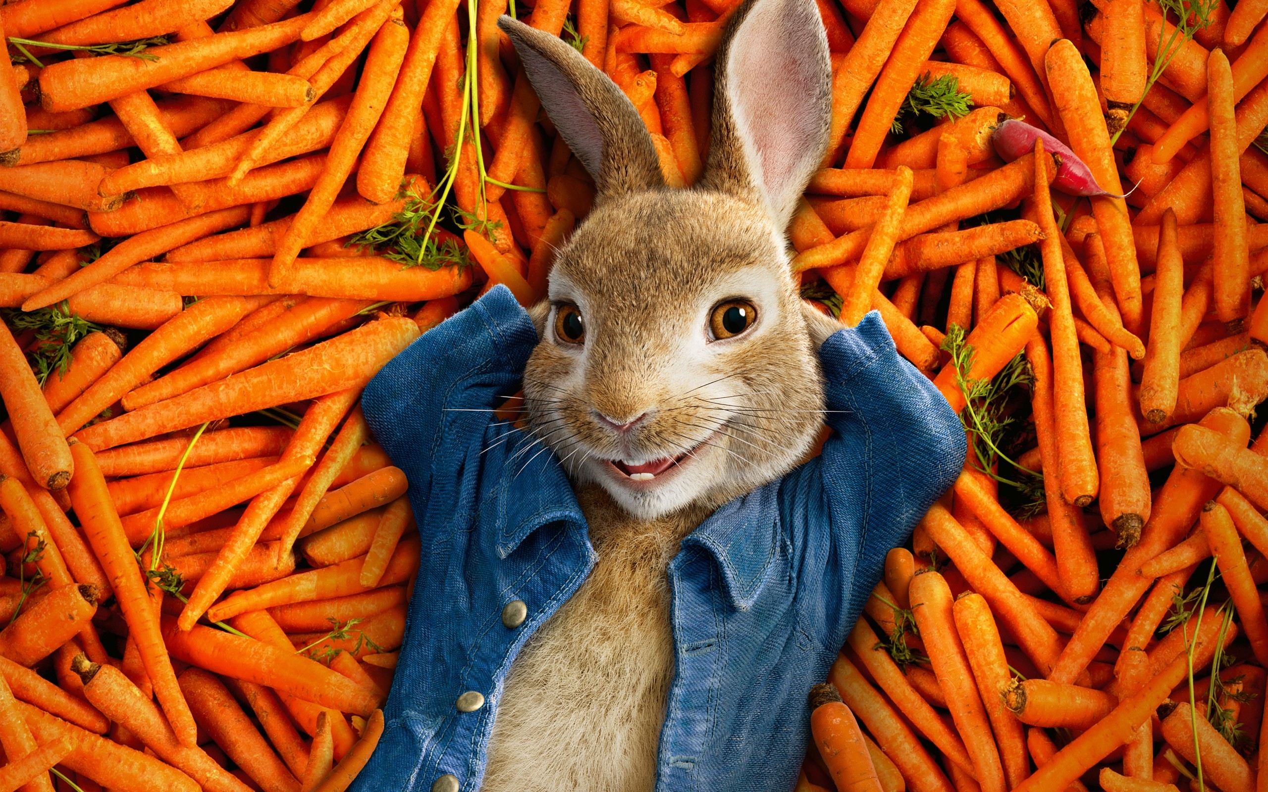 872251 завантажити шпалери кролик, фільм, кролик петрик, морква - заставки і картинки безкоштовно