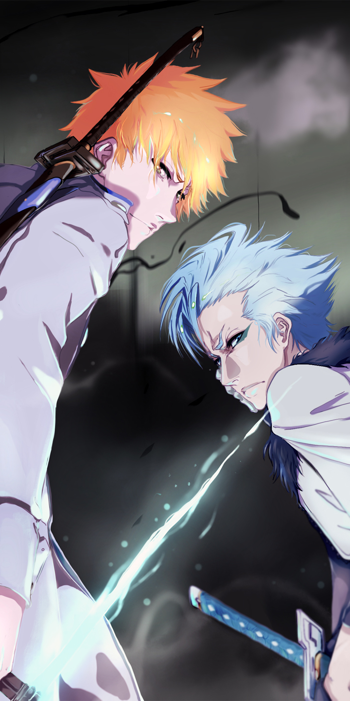 Download mobile wallpaper Anime, Bleach, Ichigo Kurosaki, Grimmjow Jaegerjaquez for free.