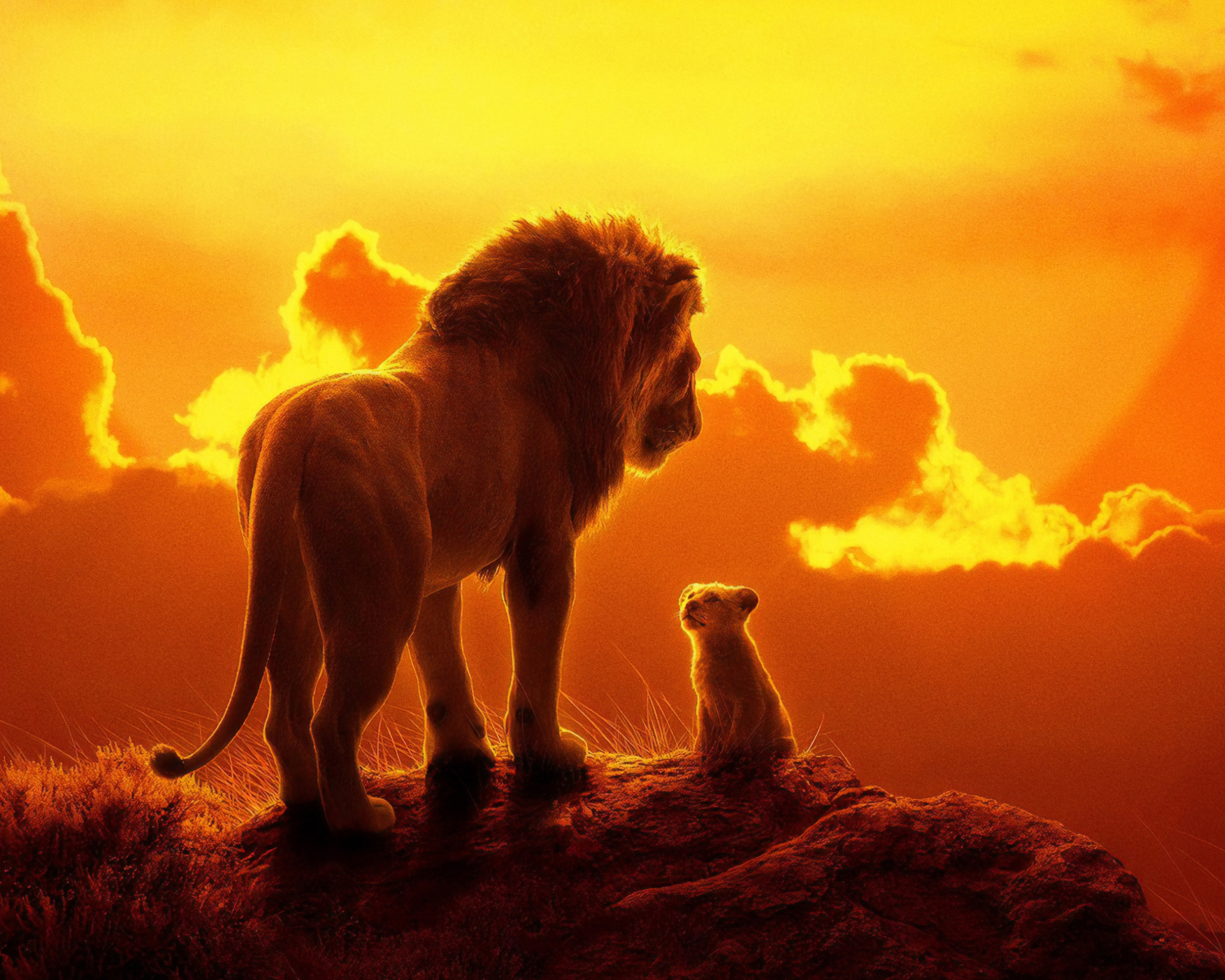 the lion king (2019), movie, simba, mufasa (the lion king)
