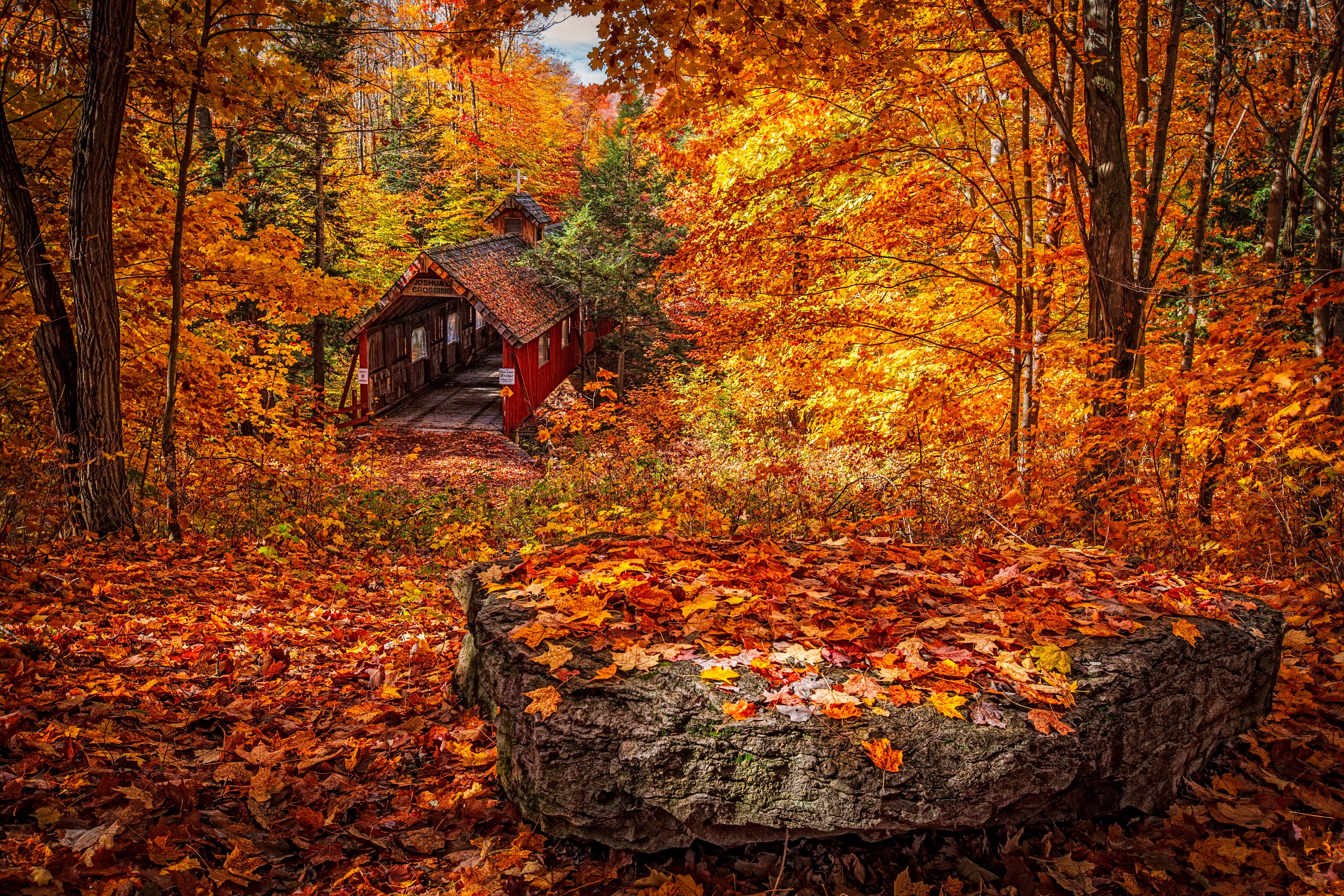Free download wallpaper Nature, Autumn, Structure, Foliage on your PC desktop