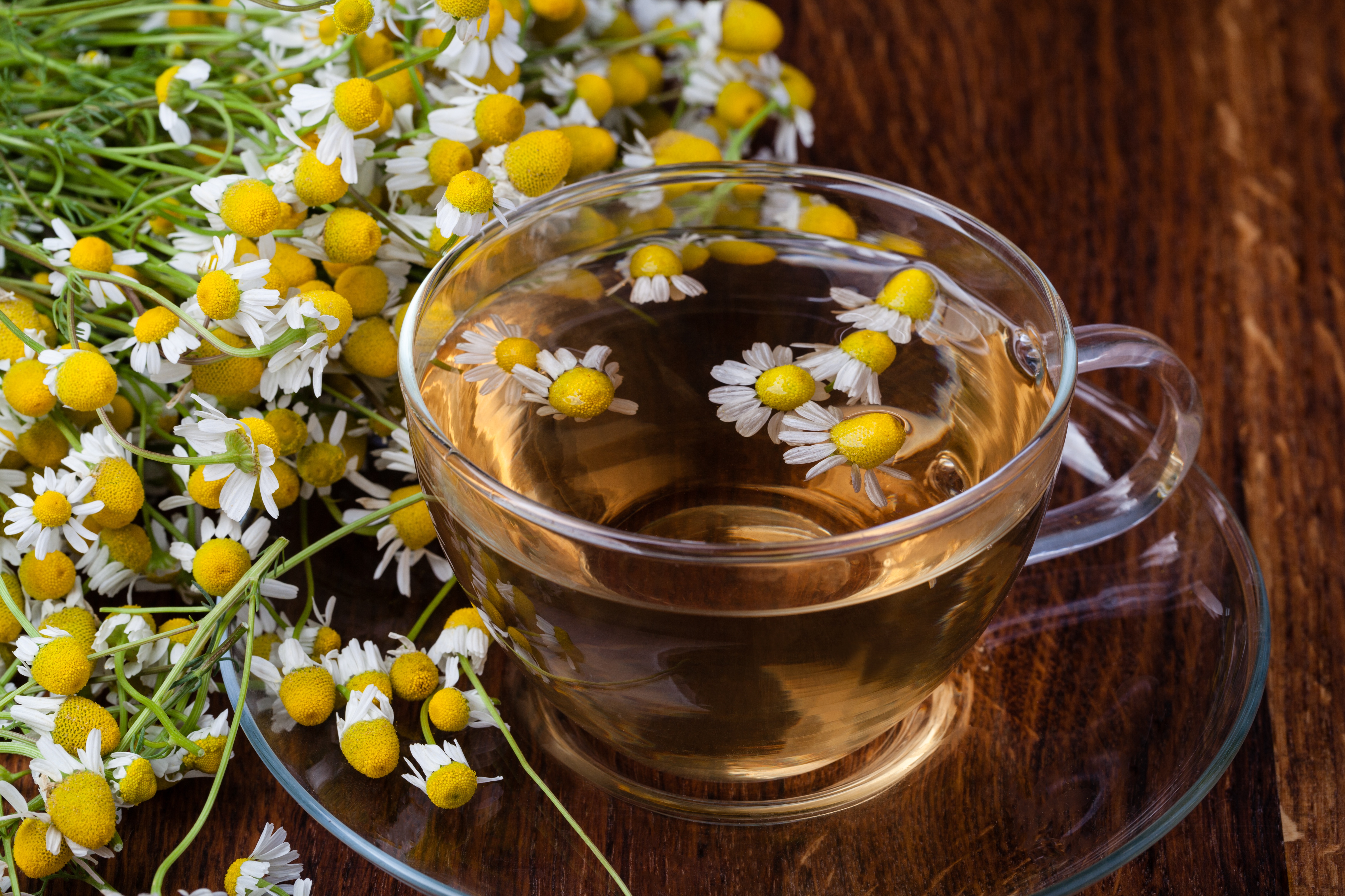 Descarga gratis la imagen Flor, Taza, Bebida, Té, Alimento, Bodegón en el escritorio de tu PC