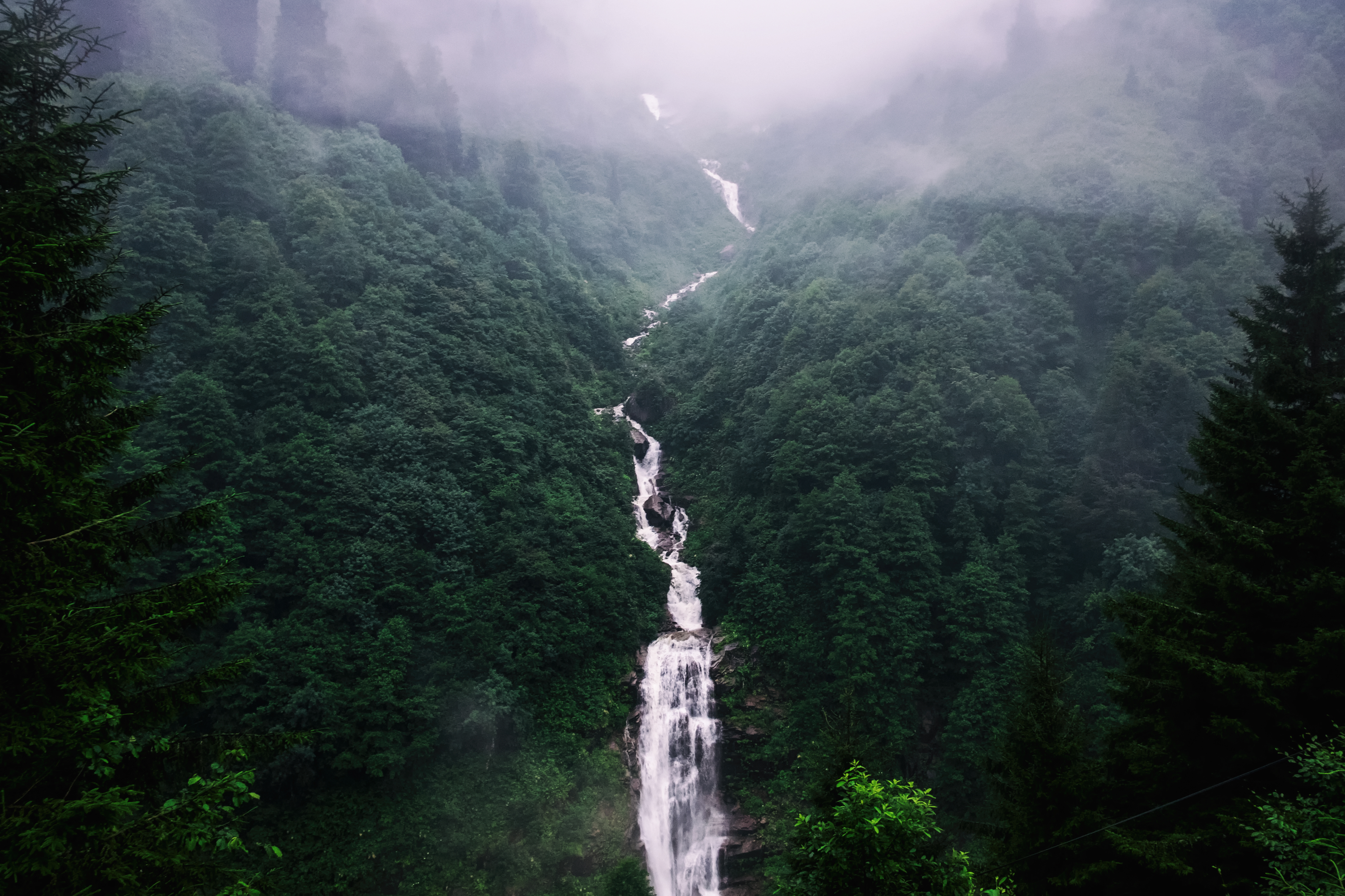 Handy-Wallpaper Nebel, Natur, Bäume, Wasserfall kostenlos herunterladen.