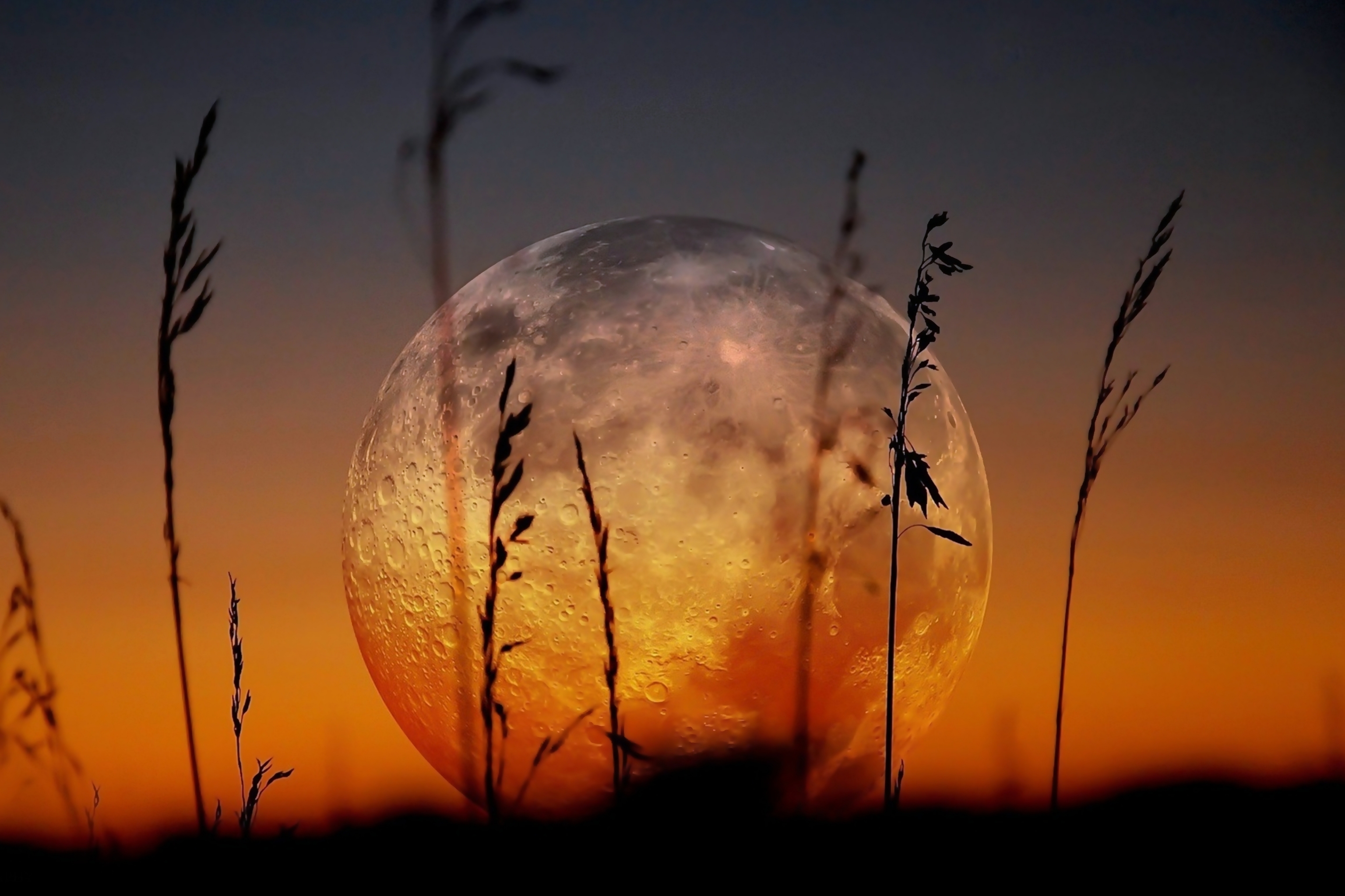 Download mobile wallpaper Nature, Sunset, Moon, Earth for free.