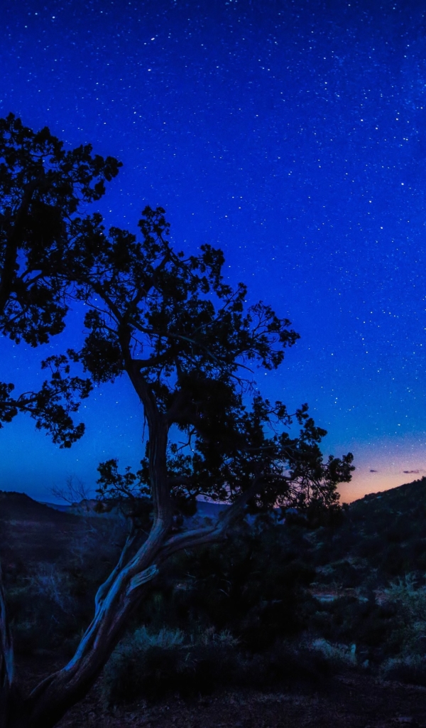 Baixar papel de parede para celular de Estrelas, Ficção Científica gratuito.