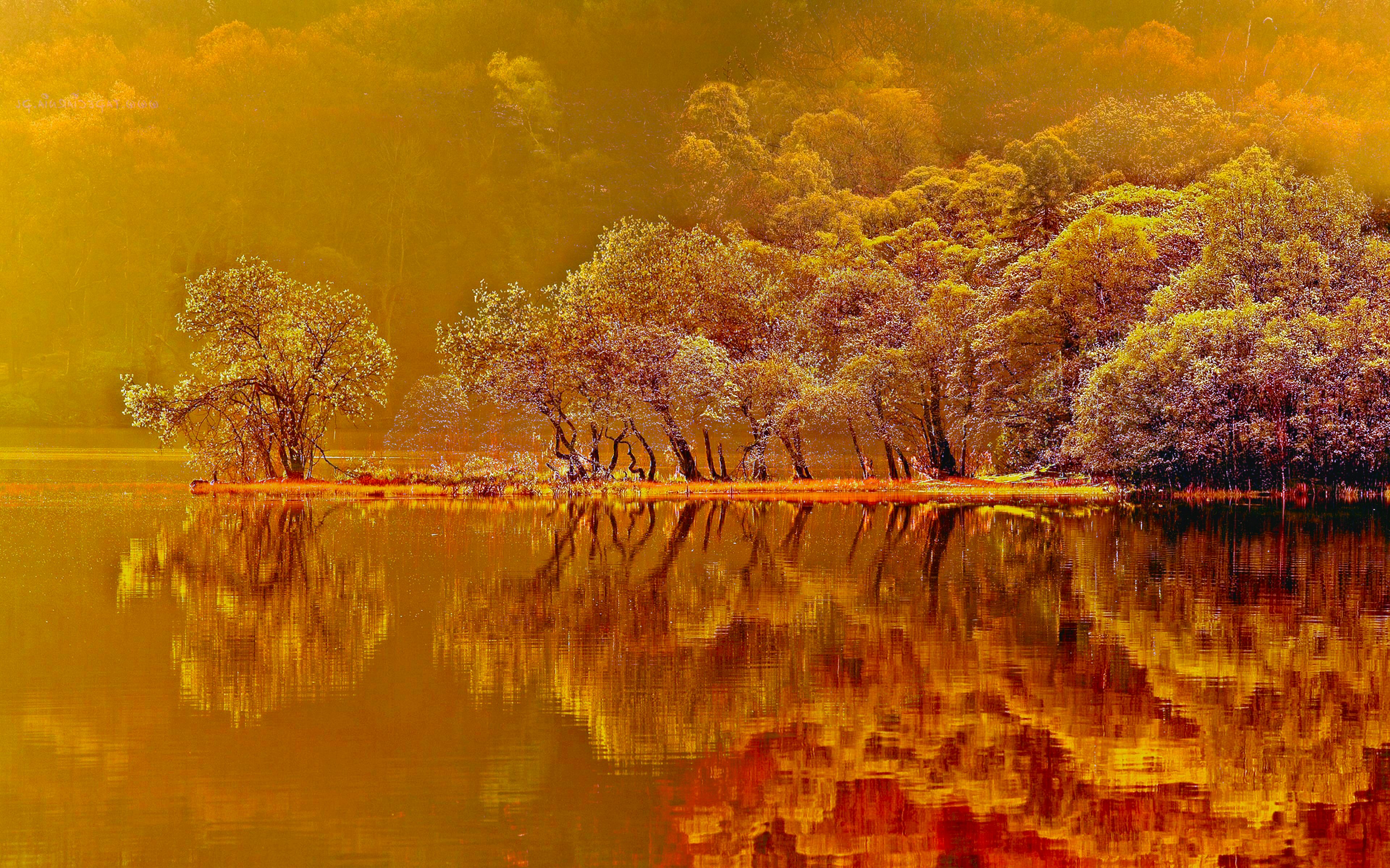 1491034 descargar imagen tierra/naturaleza, otoño, bosque, lago, color naranja), estanque, reflexión: fondos de pantalla y protectores de pantalla gratis