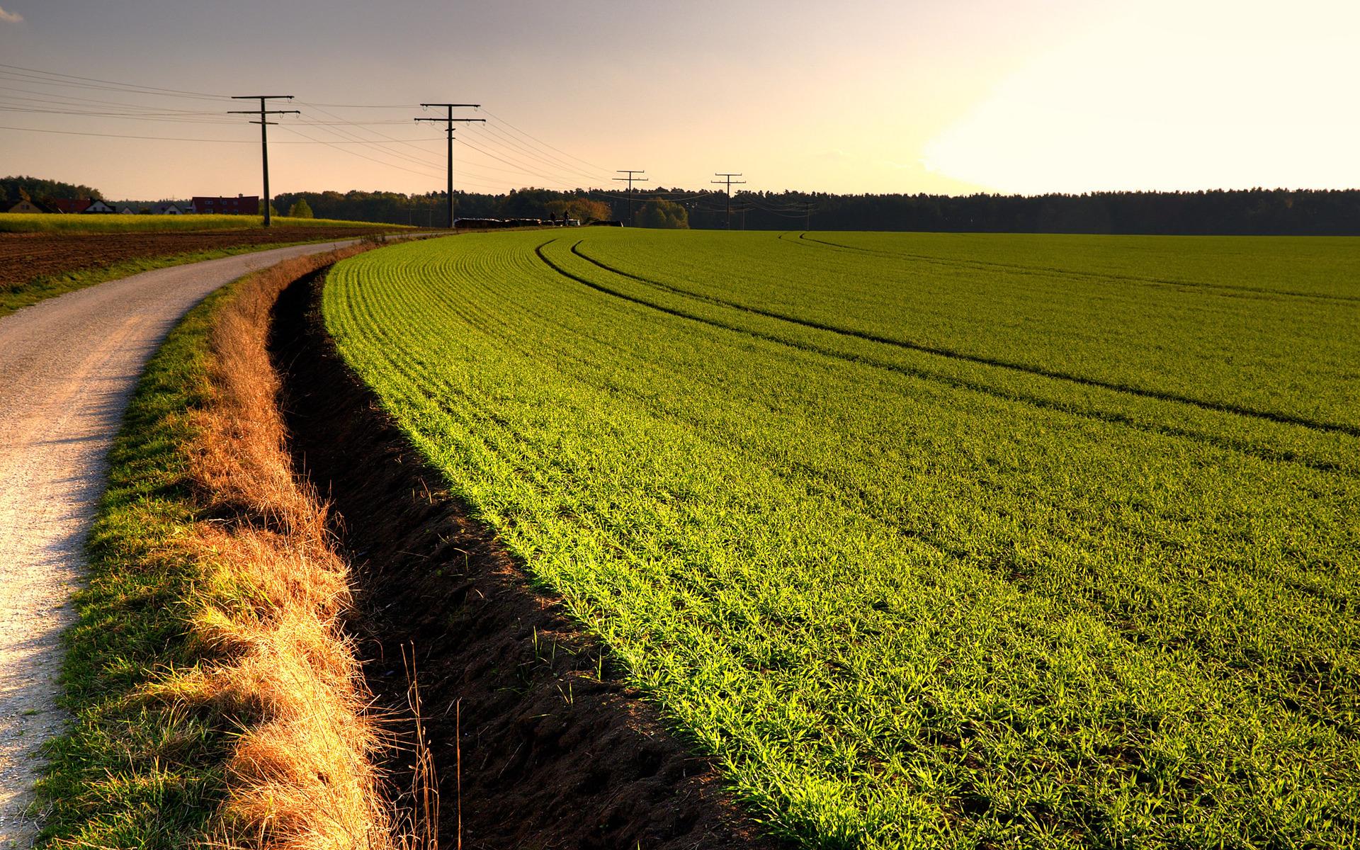 Handy-Wallpaper Landschaft, Erde/natur kostenlos herunterladen.