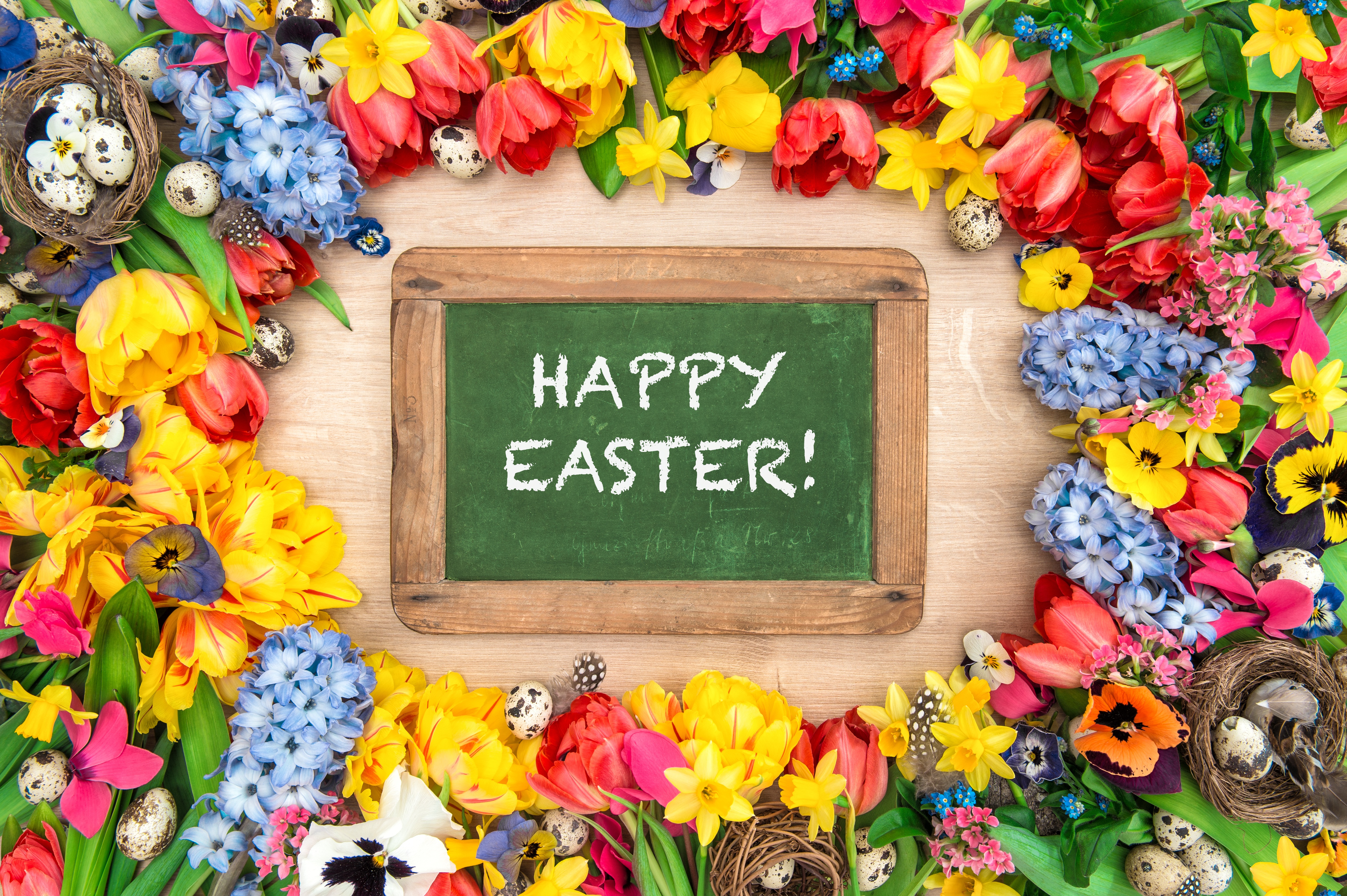 Laden Sie das Feiertage, Ostern, Blume, Frohe Ostern-Bild kostenlos auf Ihren PC-Desktop herunter