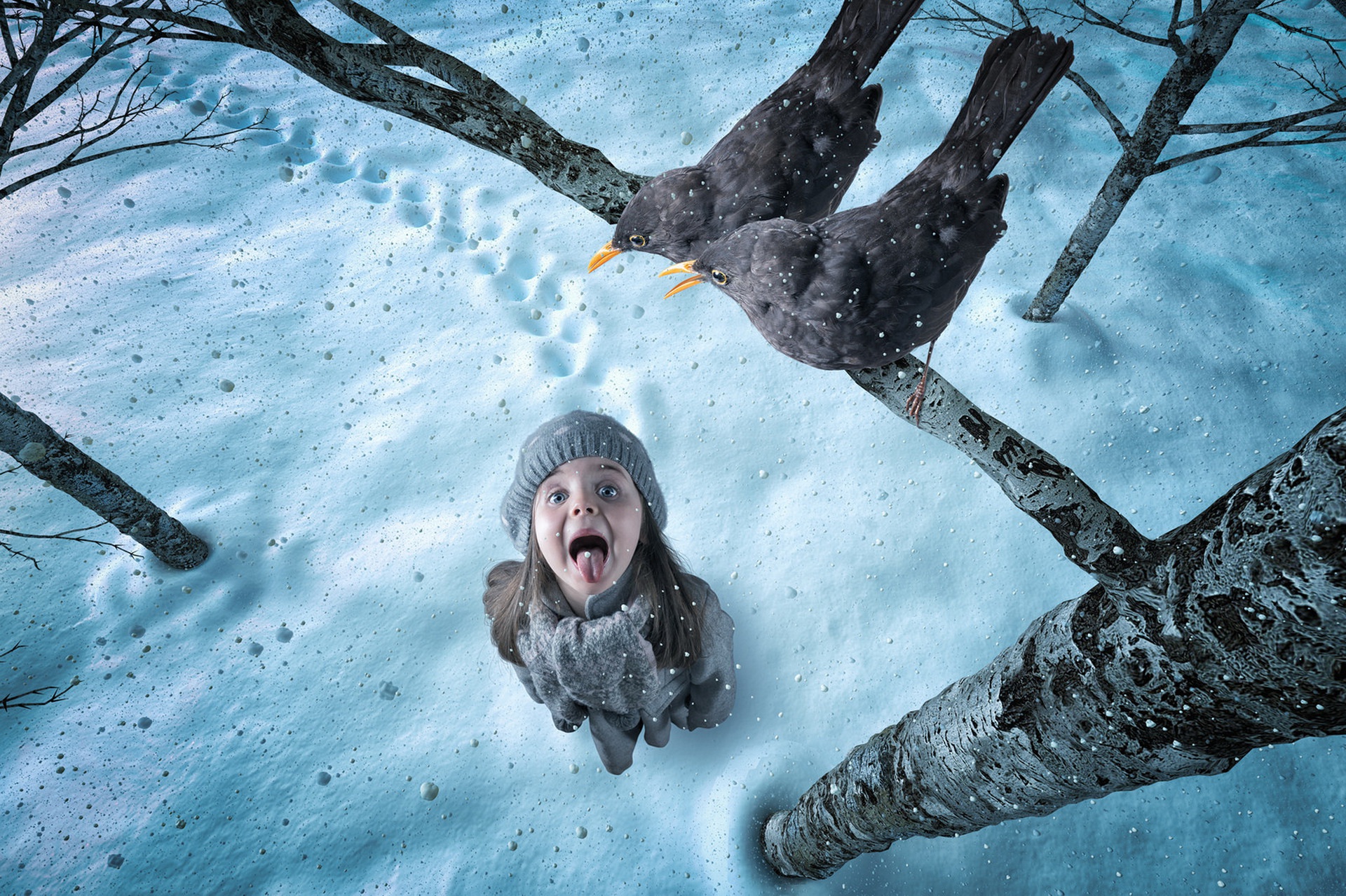 Laden Sie das Winter, Schnee, Vogel, Kind, Hut, Fotografie, Kleines Mädchen-Bild kostenlos auf Ihren PC-Desktop herunter