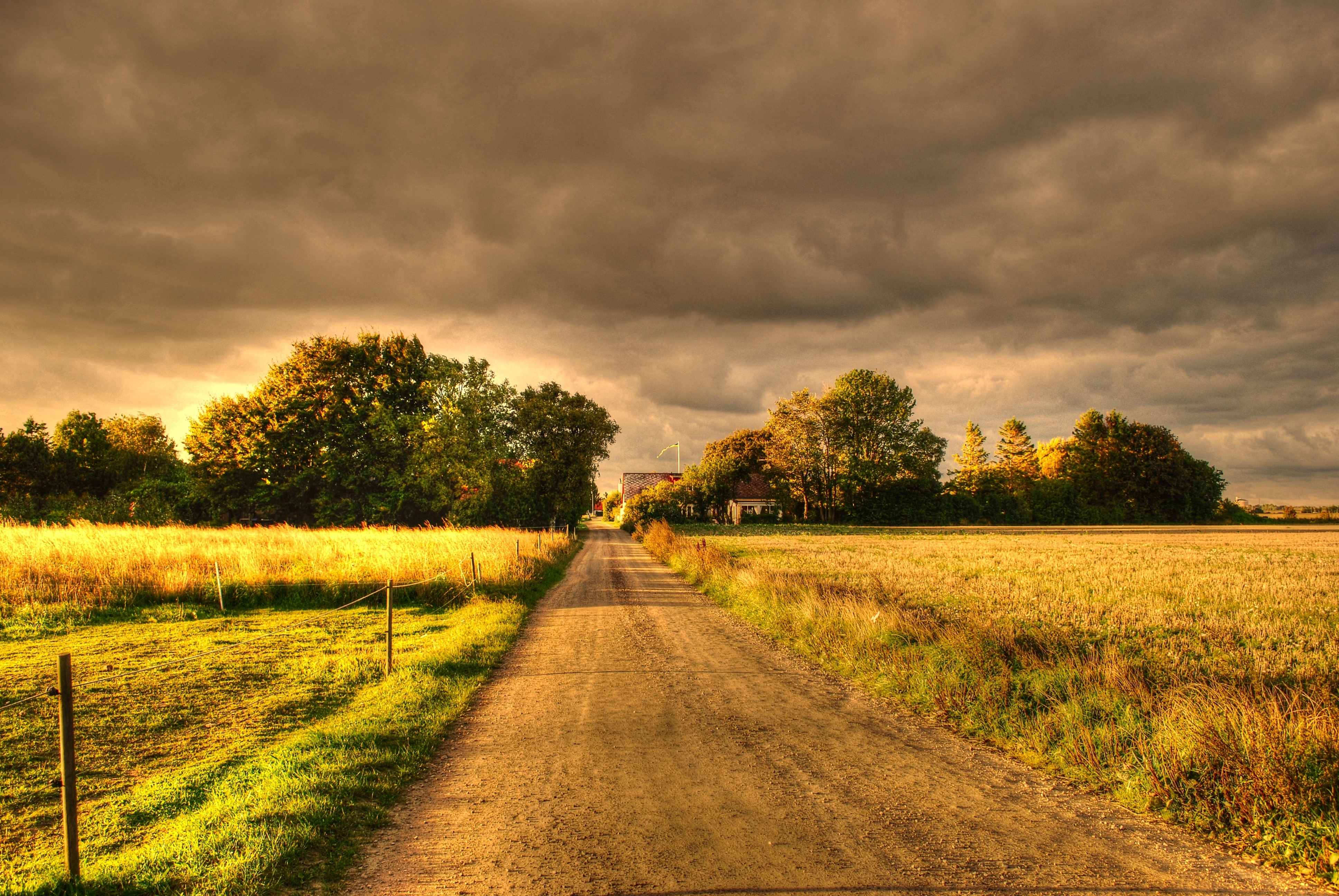 fields, nature, autumn, landscape, road