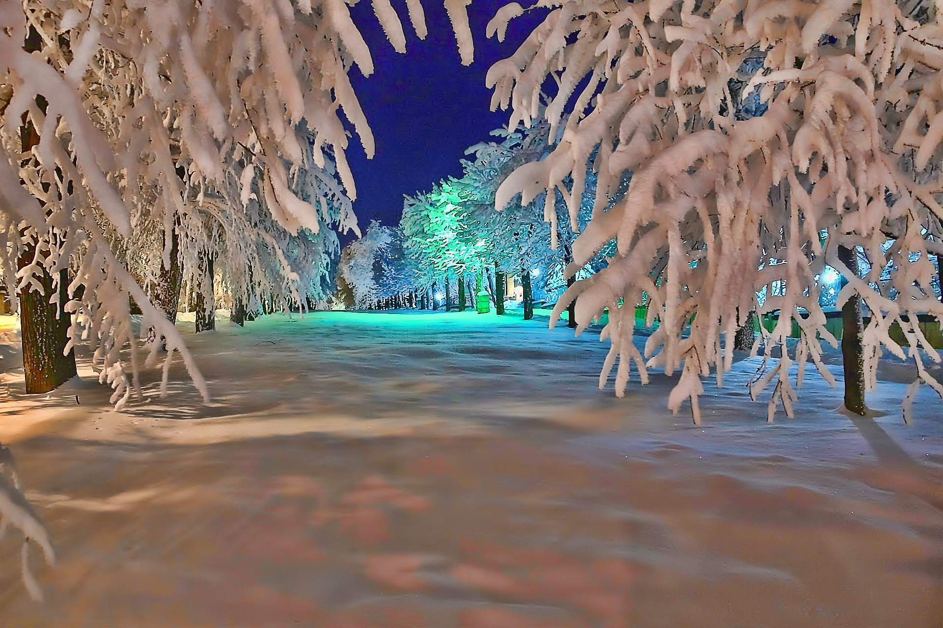 Free download wallpaper Winter, Night, Snow, Park, Tree, Photography on your PC desktop