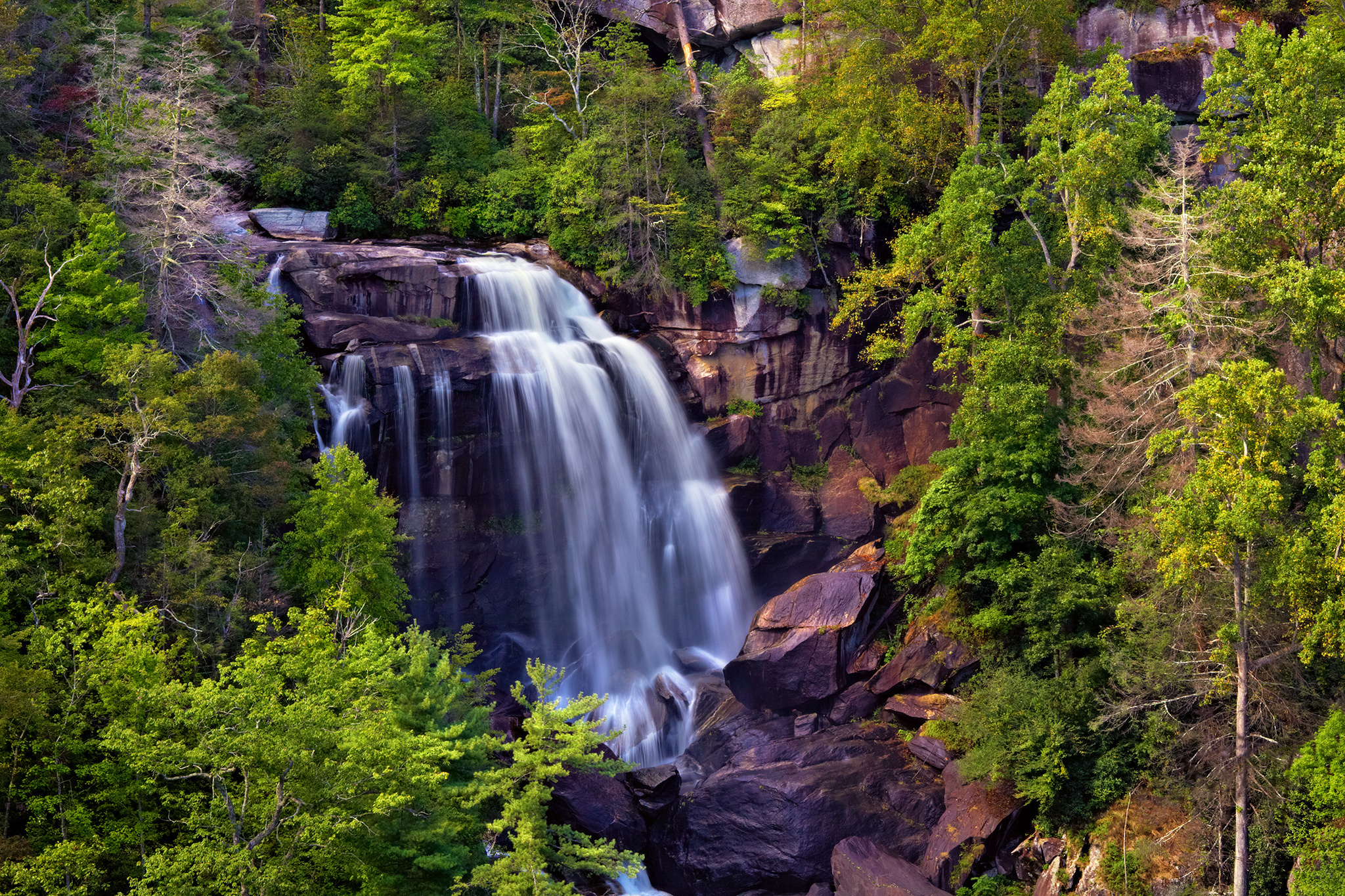Handy-Wallpaper Whitewater Falls, Strom, Wasserfall, Wasserfälle, Wald, Erde/natur kostenlos herunterladen.