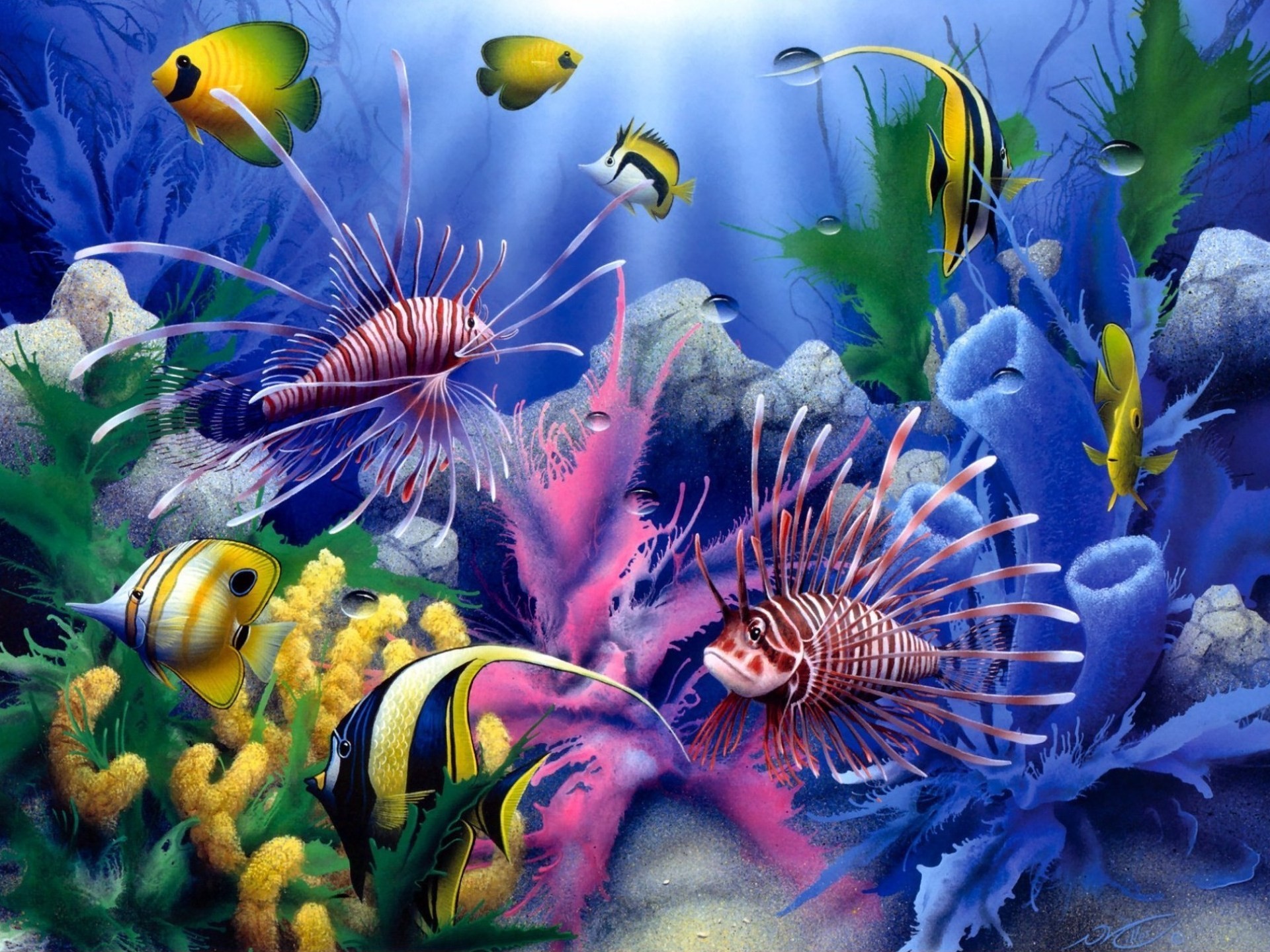 Handy-Wallpaper Tiere, Fische, Ozean, Tropisch, Fisch, Unterwasser kostenlos herunterladen.