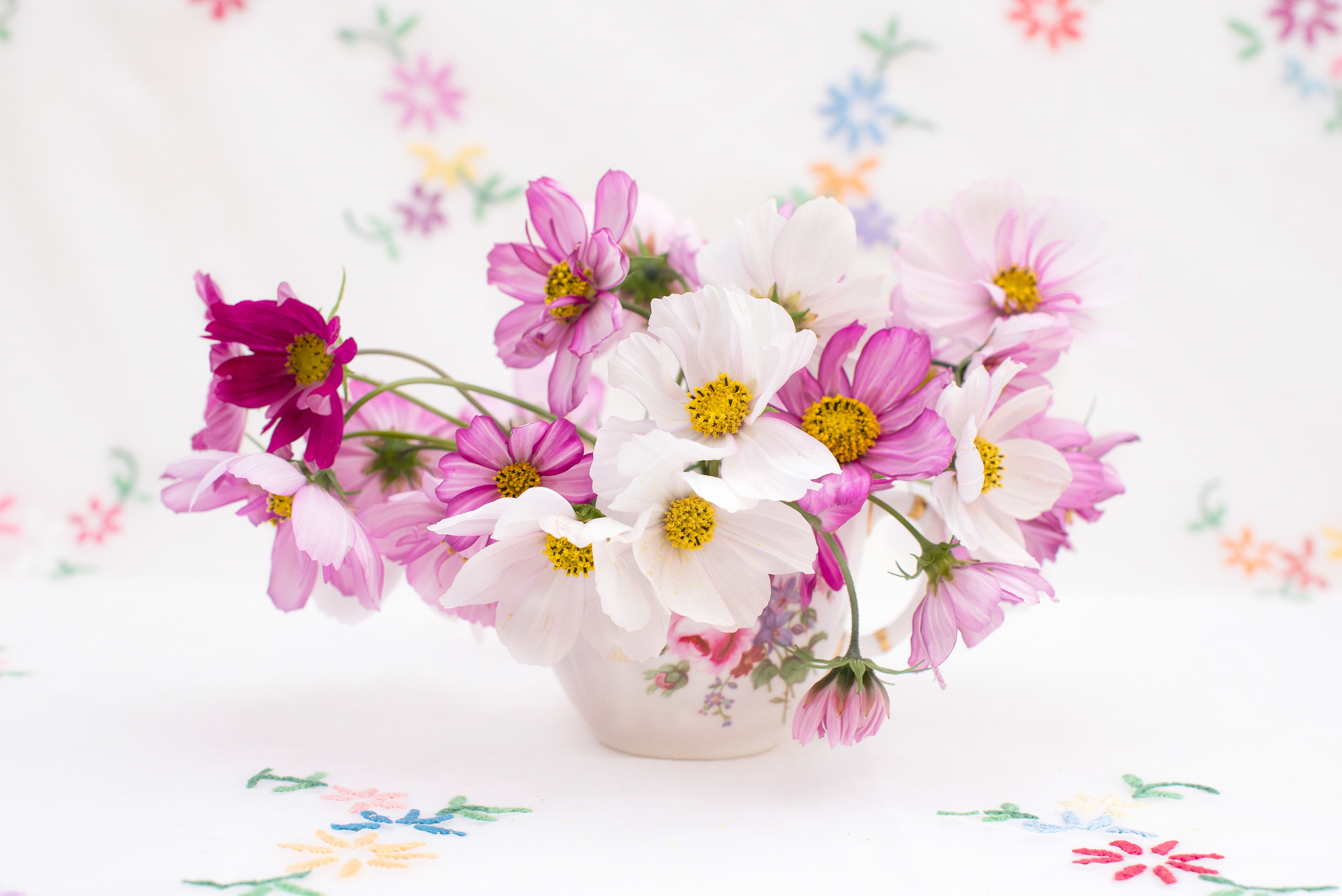 Free download wallpaper Still Life, Cup, Cosmos, Photography, White Flower, Purple Flower on your PC desktop