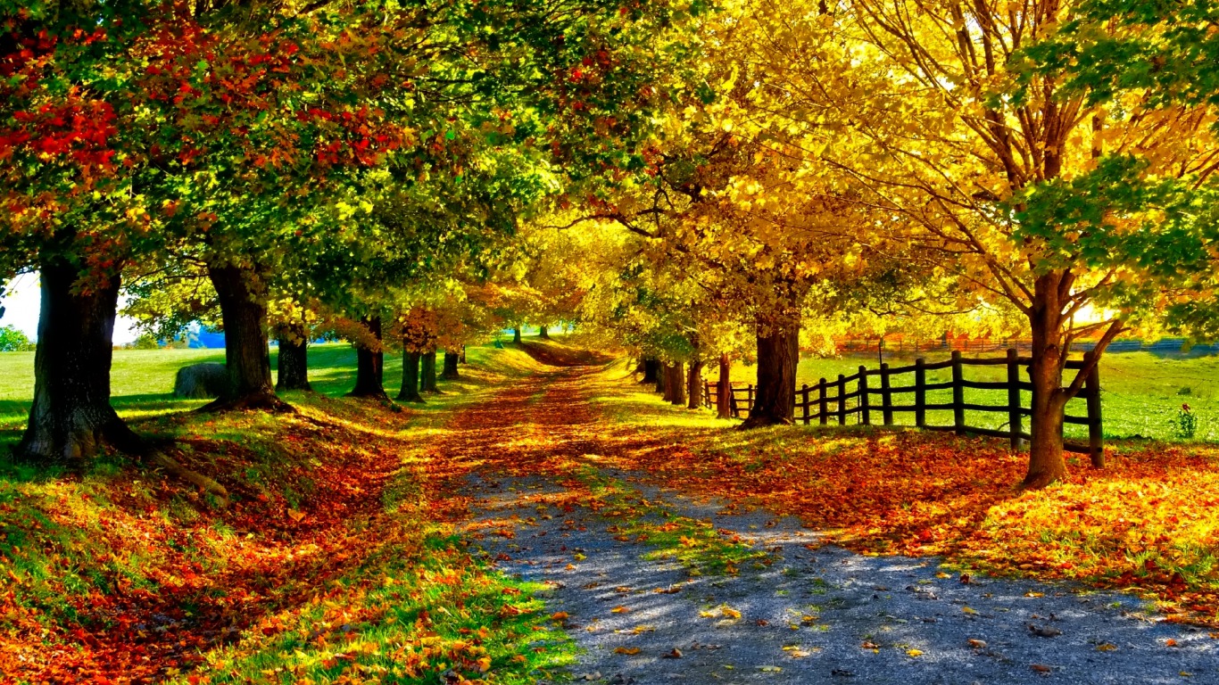 Скачать обои бесплатно Осень, Дорожка, Земля/природа картинка на рабочий стол ПК
