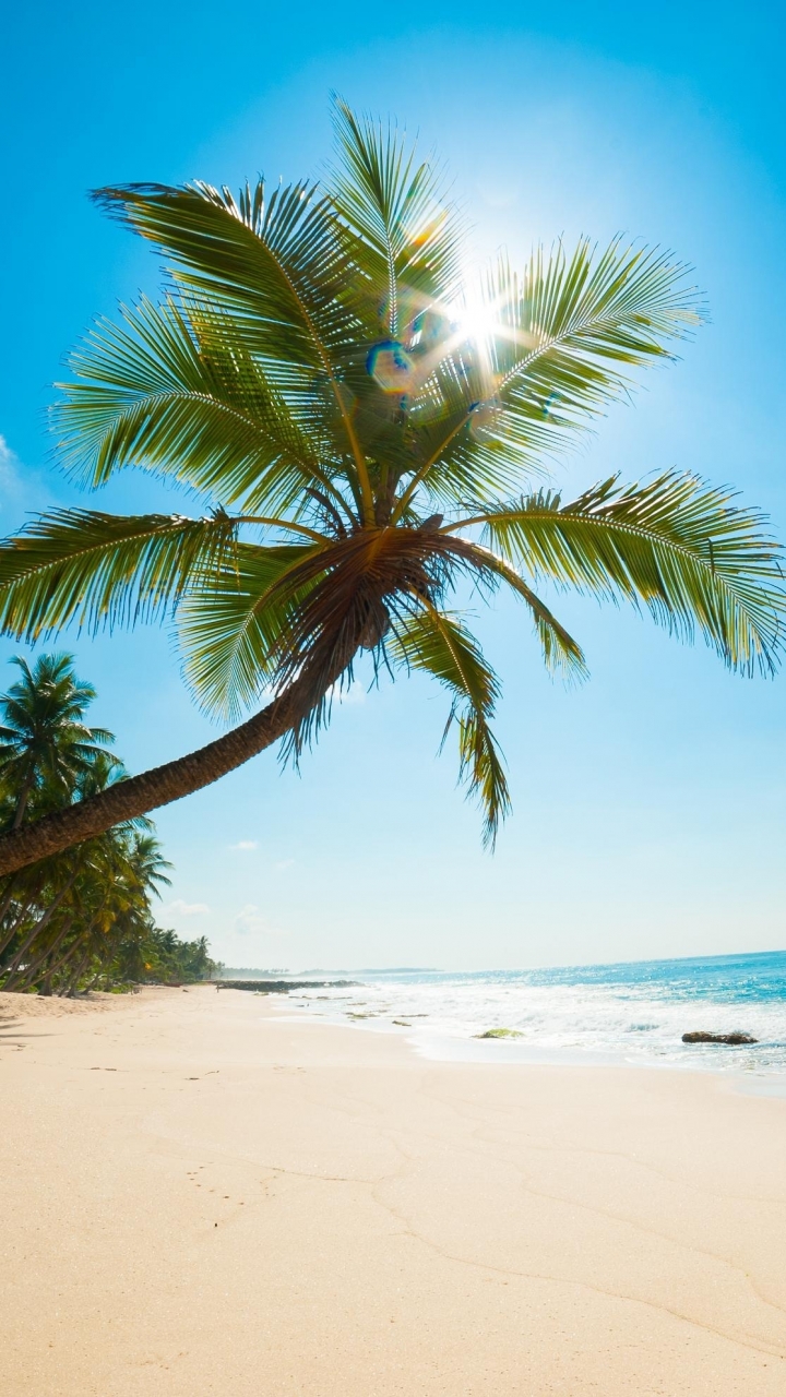 Descarga gratuita de fondo de pantalla para móvil de Playa, Tierra/naturaleza.