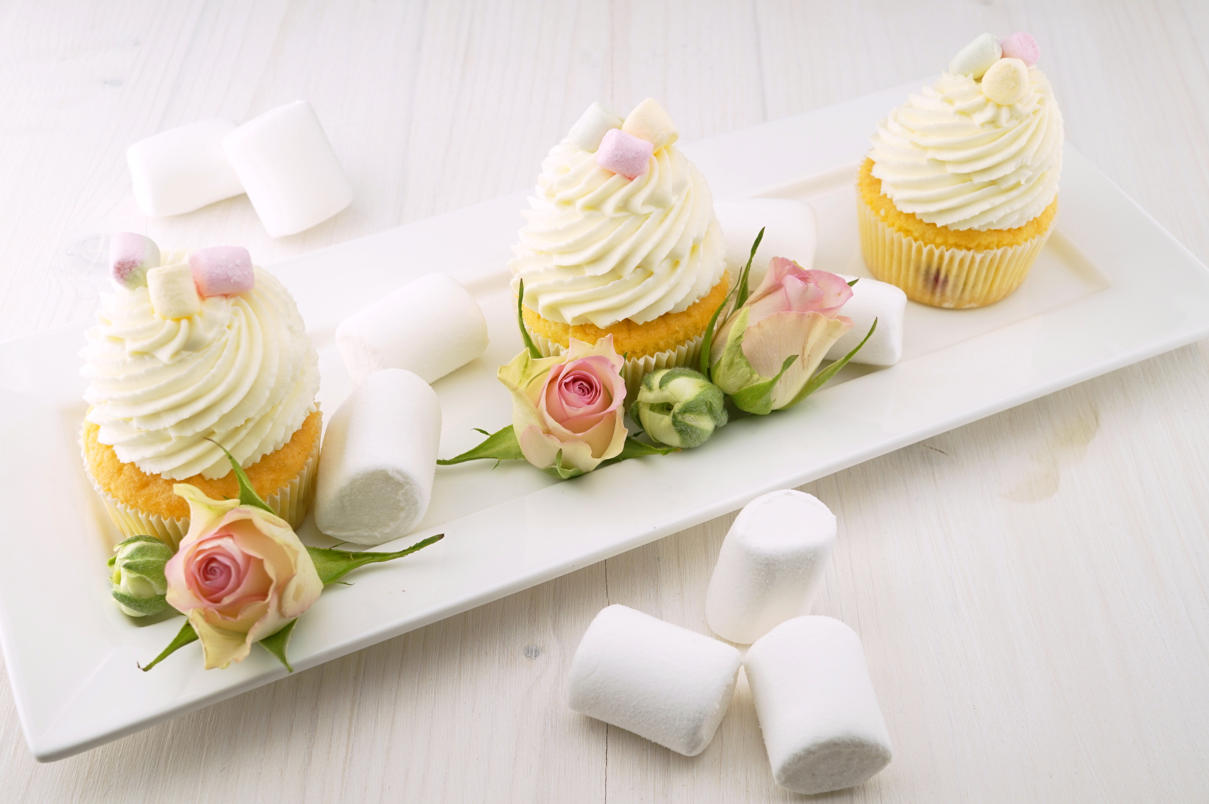 Free download wallpaper Food, Cream, Marshmallow, Sweets, Cupcake on your PC desktop