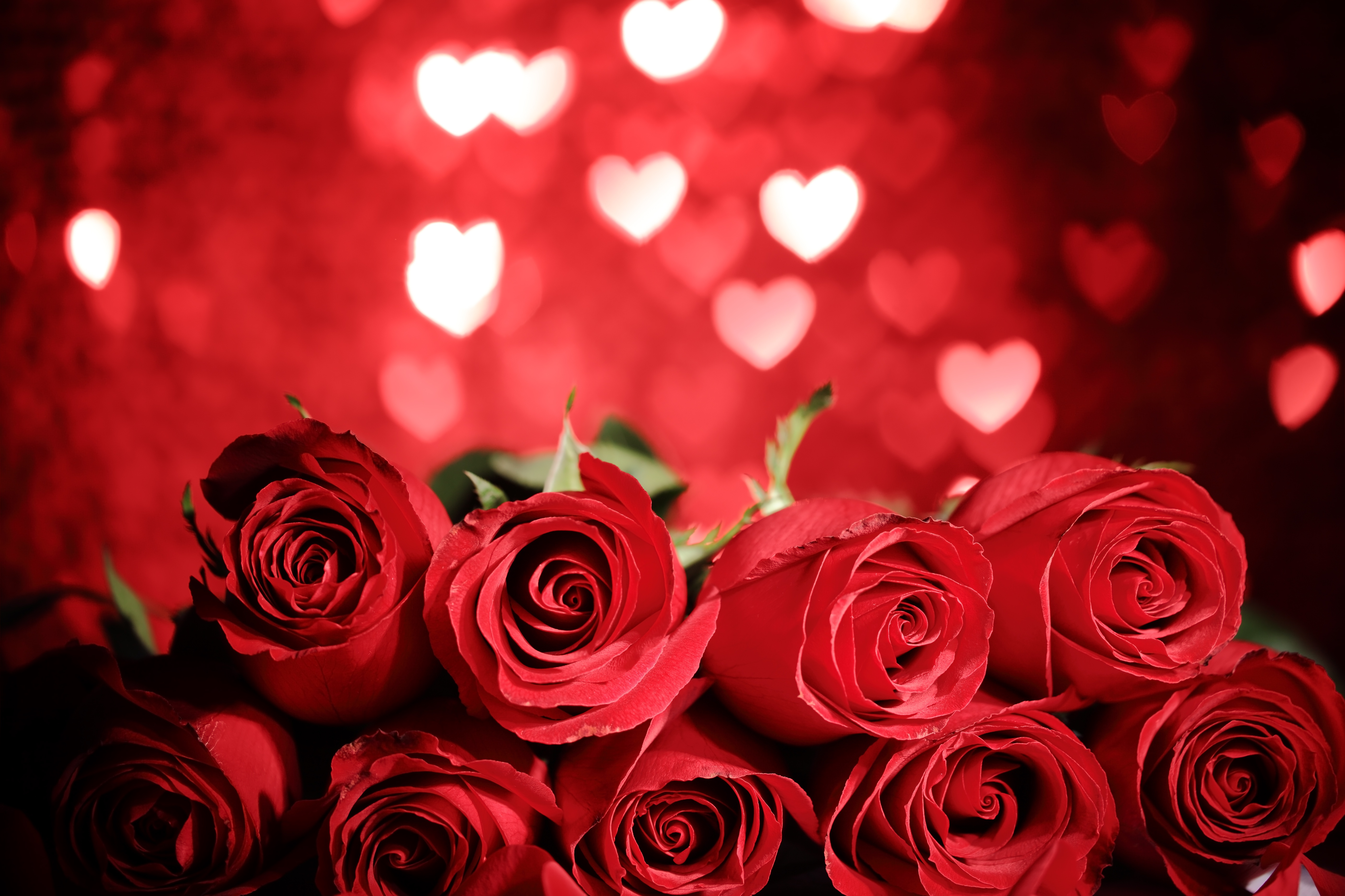 Download mobile wallpaper Flowers, Flower, Rose, Earth, Heart, Bokeh, Red Rose, Romantic, Red Flower for free.