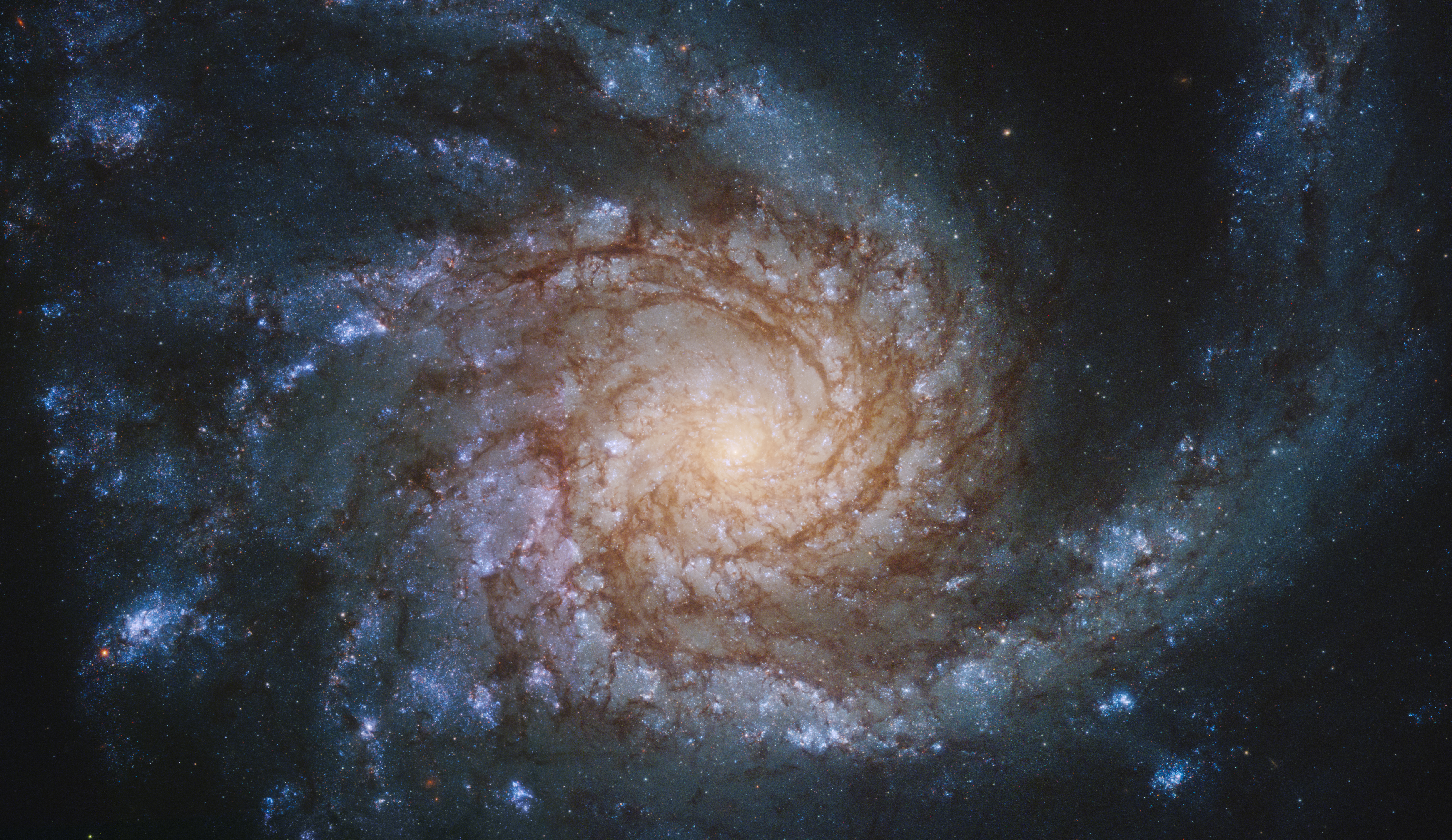 Baixe gratuitamente a imagem Ngc 4254, Espiral, Universo, Estrelas, Galáxia na área de trabalho do seu PC