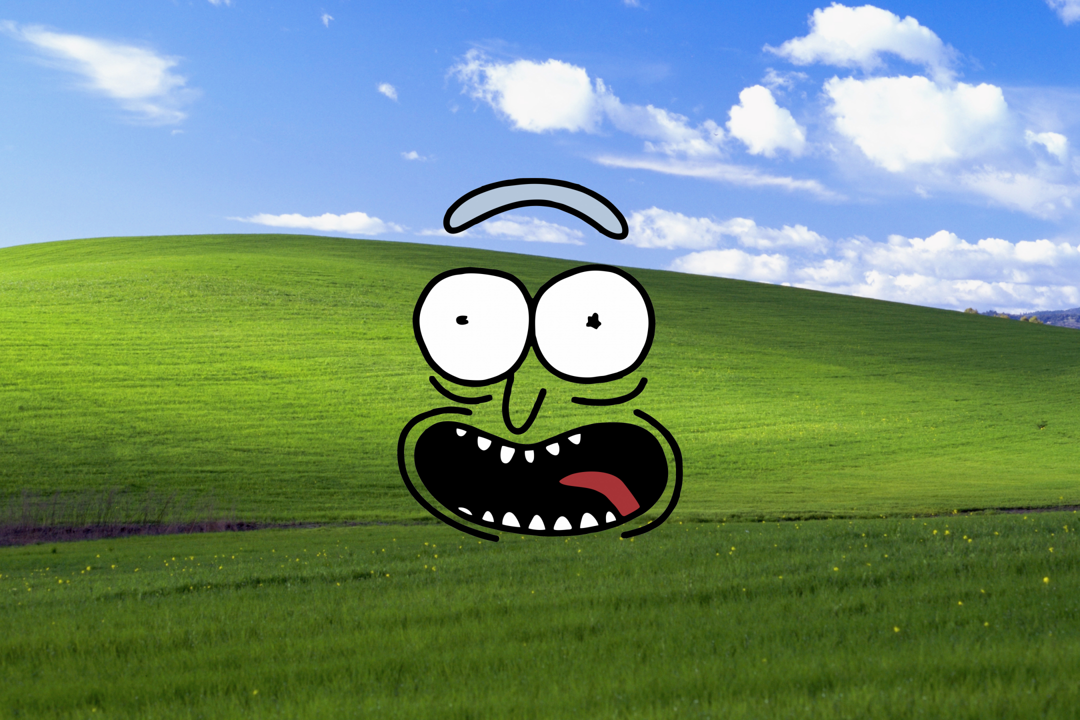 Free download wallpaper Grass, Hill, Tv Show, Rick Sanchez, Rick And Morty on your PC desktop