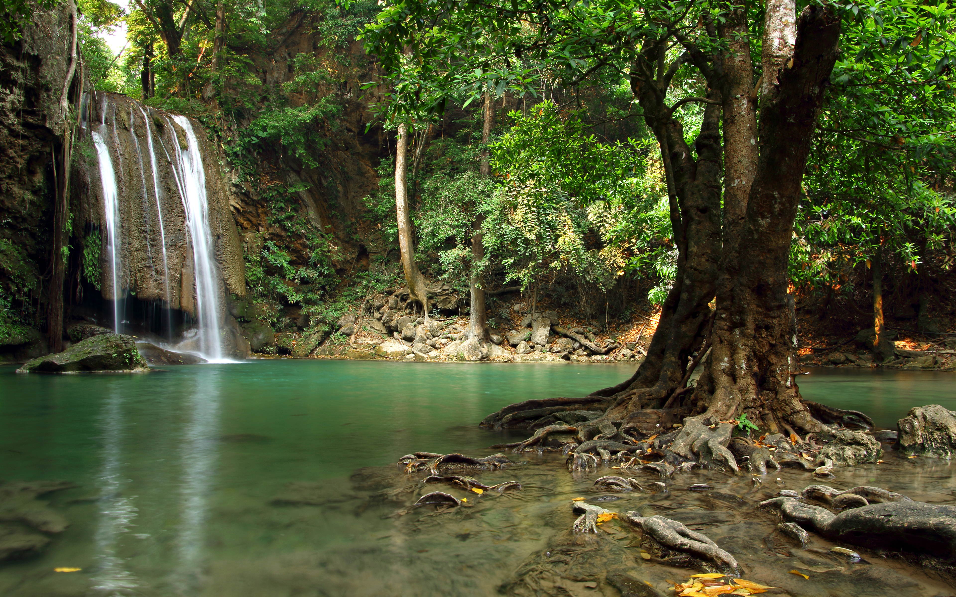 Free download wallpaper Nature, Waterfalls, Waterfall, Tree, Earth, River on your PC desktop