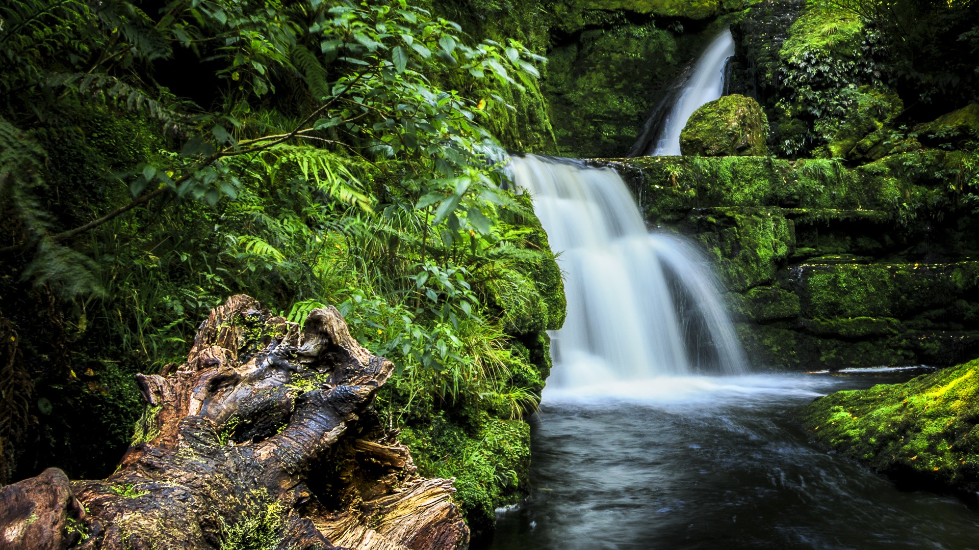 Free download wallpaper Waterfalls, Waterfall, Forest, Tree, Earth on your PC desktop