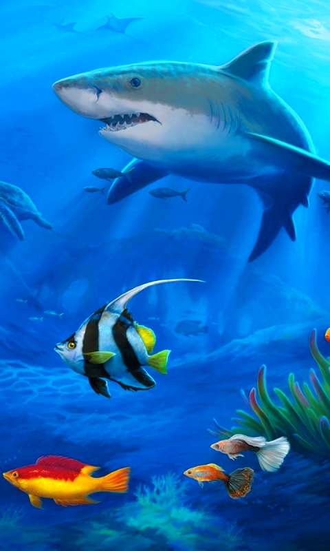 Download mobile wallpaper Colors, Animal, Fish, Underwater, Turtle, Shark, Sea Life for free.