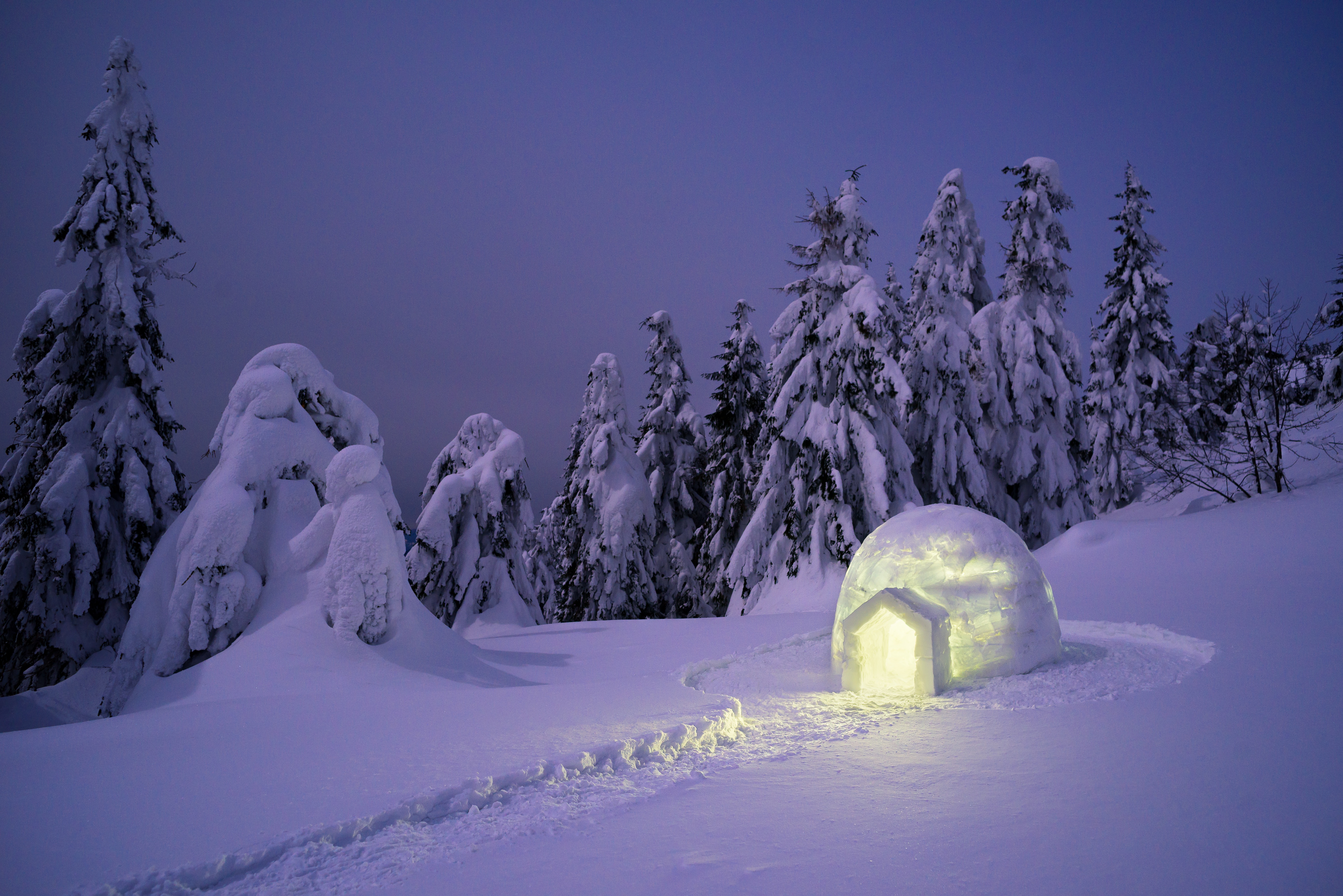 photography, winter, igloo, snow