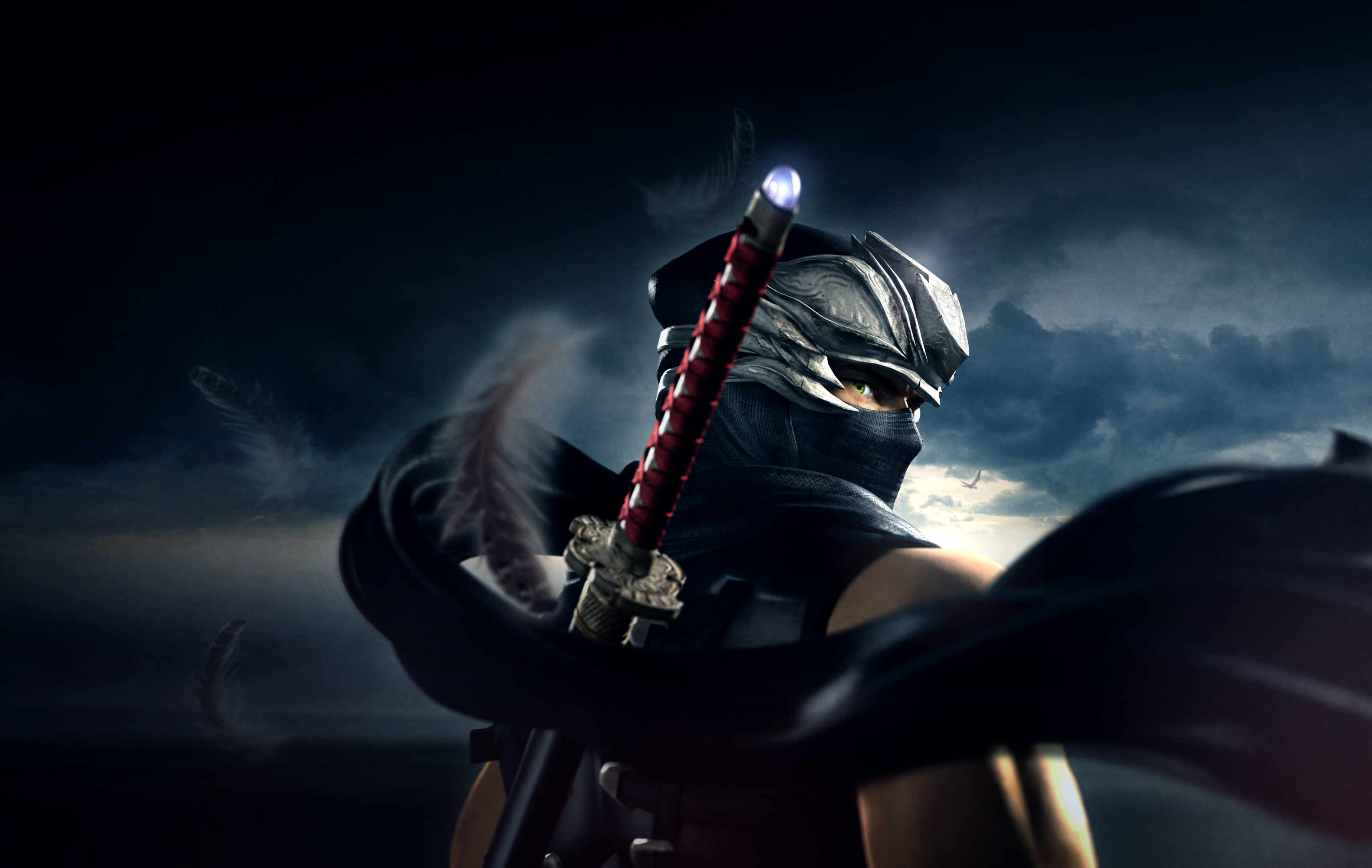 Die besten Ninja Gaiden: Meistersammlung-Hintergründe für den Telefonbildschirm