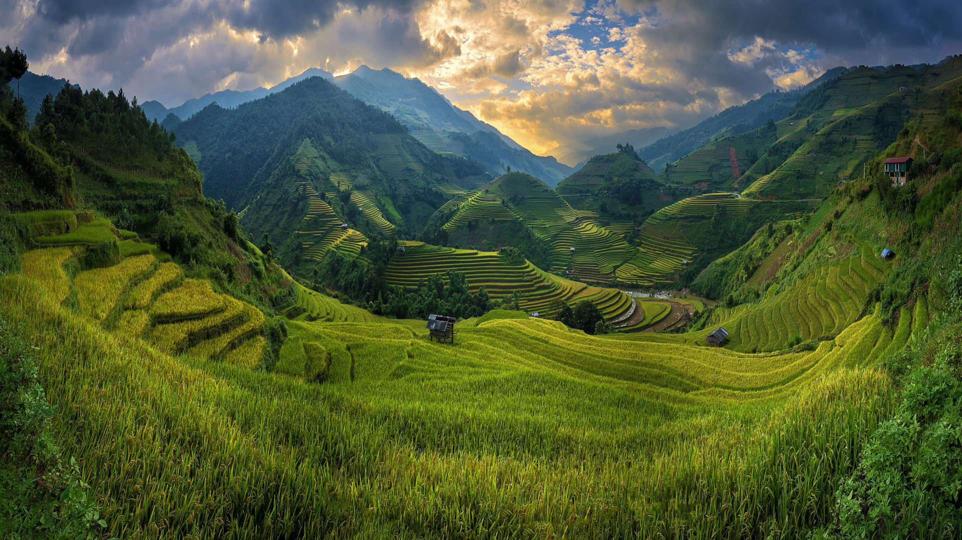 990477 завантажити картинку створено людиною, рисова тераса, поле, гора, долина, в'єтнам - шпалери і заставки безкоштовно
