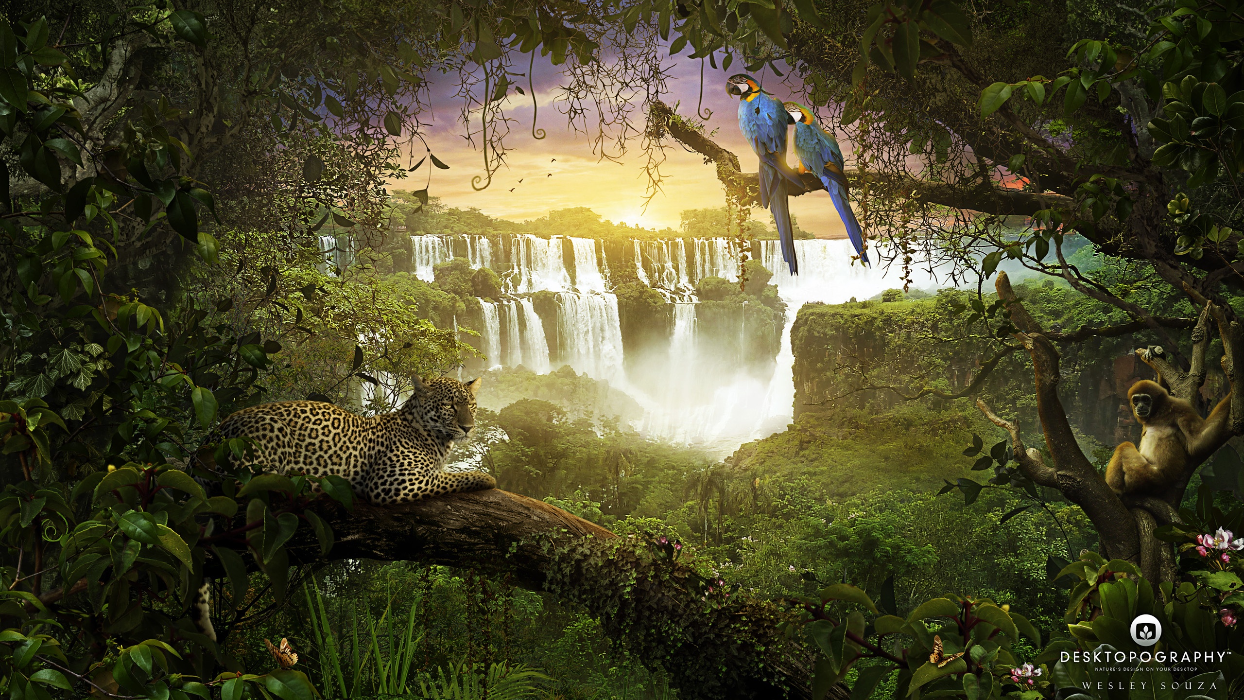 658956 скачать обои джунгли, художественные, настольная графика, попугай, водопад - заставки и картинки бесплатно