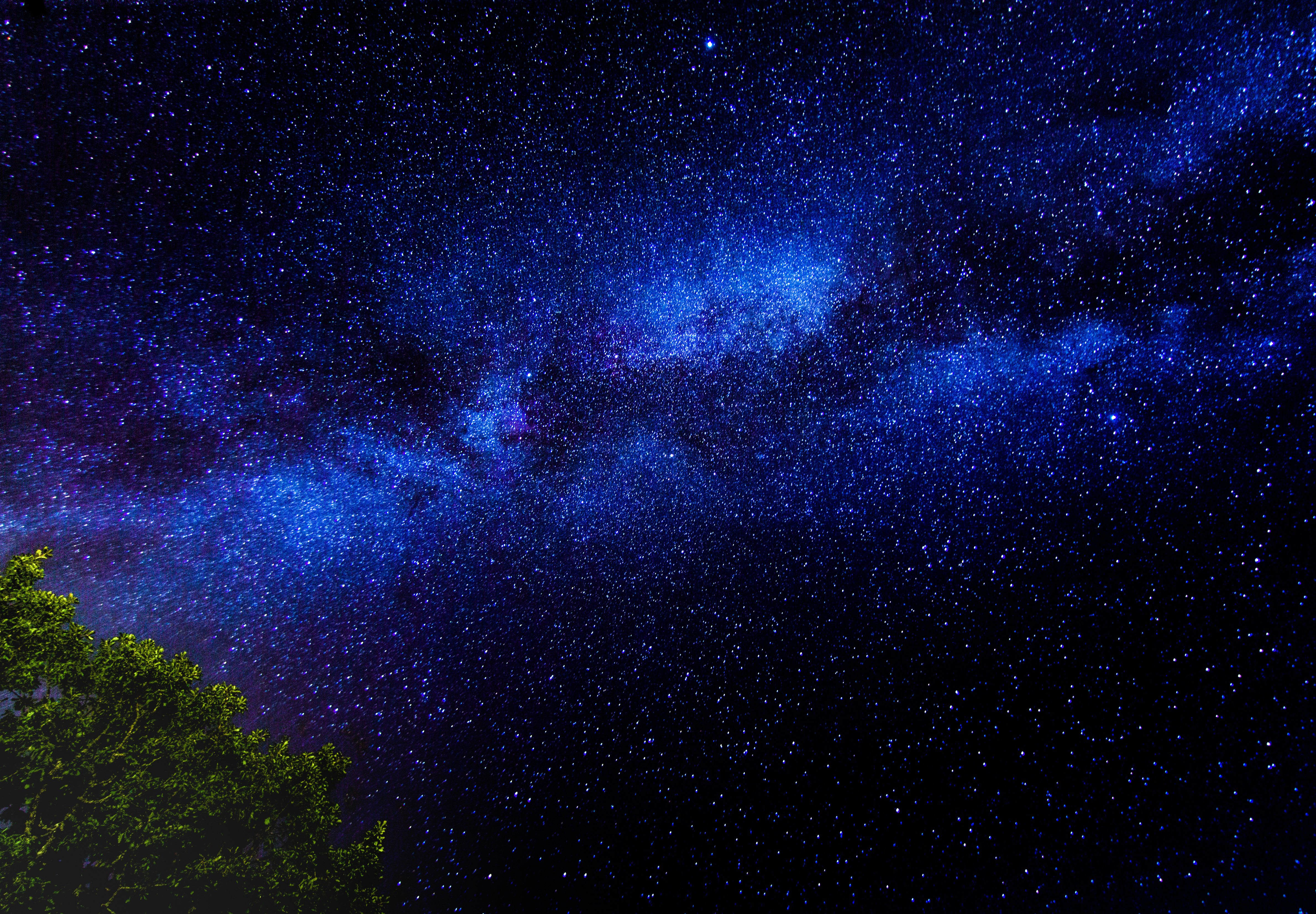130832 descargar imagen cielo estrellado, estrellas, noche, oscuro, madera, árbol, sucursales, ramas: fondos de pantalla y protectores de pantalla gratis