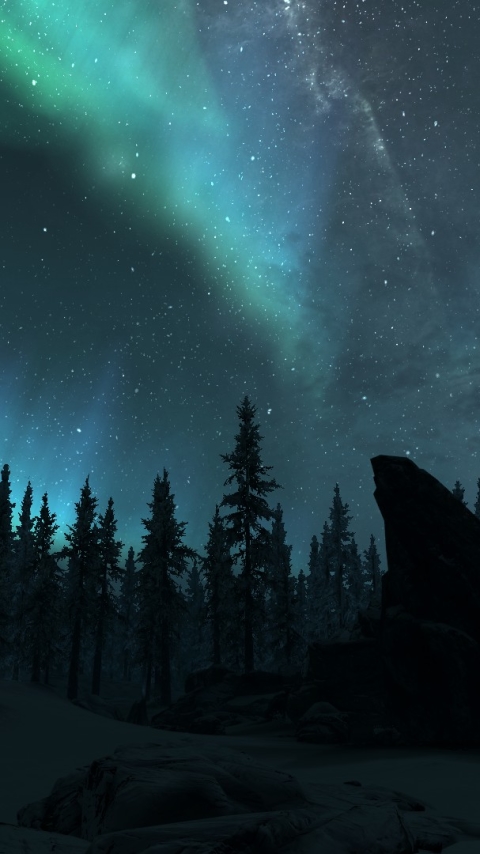 Download mobile wallpaper Winter, Night, Snow, Forest, Tree, Earth, Aurora Borealis, Video Game, Skyrim, The Elder Scrolls V: Skyrim, The Elder Scrolls for free.