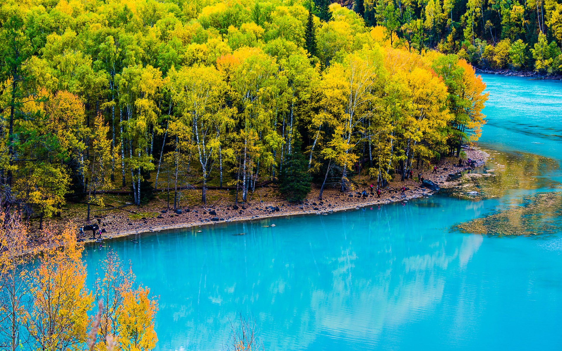 Скачать обои бесплатно Осень, Озера, Озеро, Лес, Синий, Земля/природа картинка на рабочий стол ПК