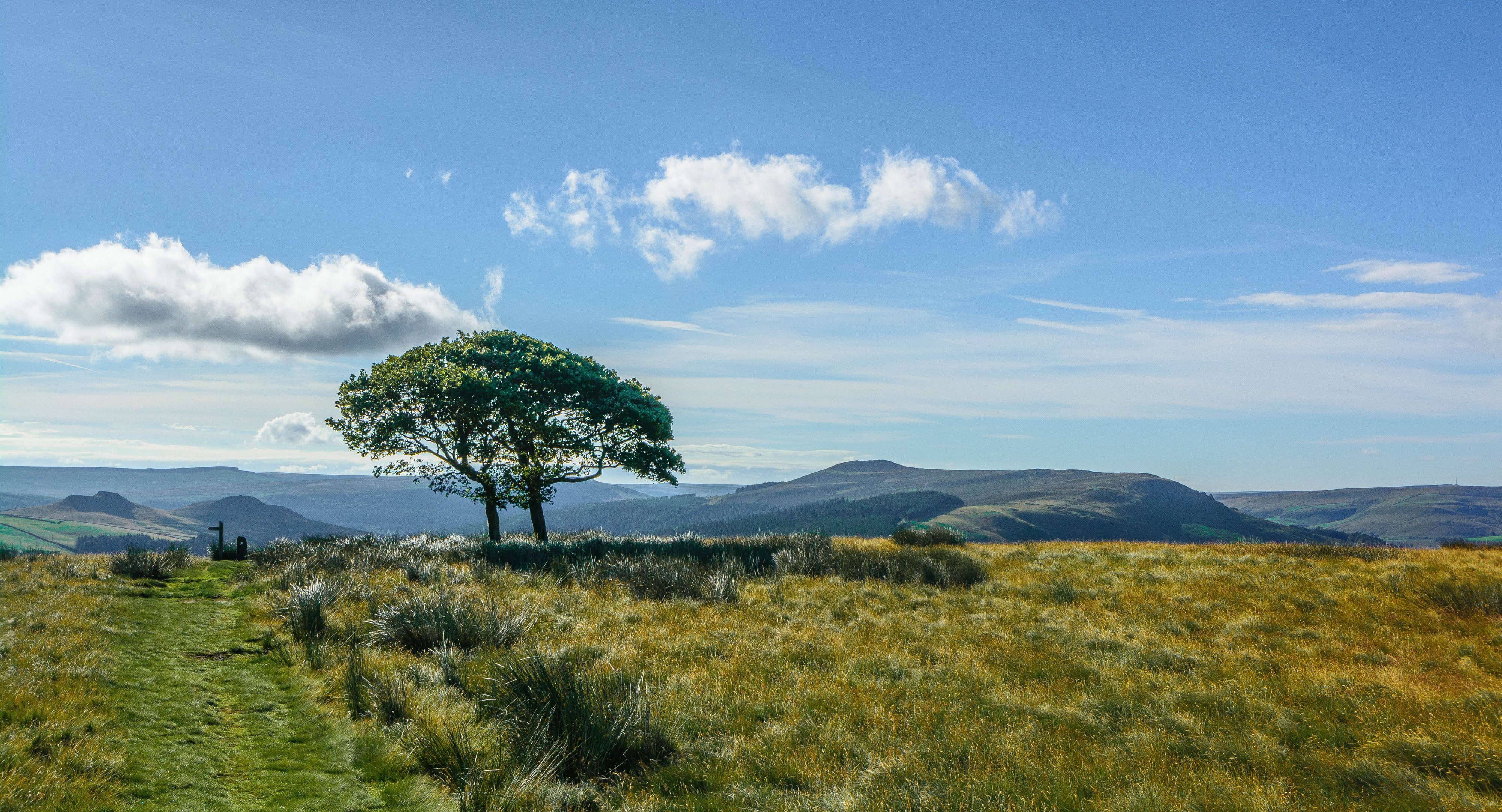 Laden Sie das Landschaft, Horizont, Baum, Wolke, Gras, Himmel, Erde/natur-Bild kostenlos auf Ihren PC-Desktop herunter