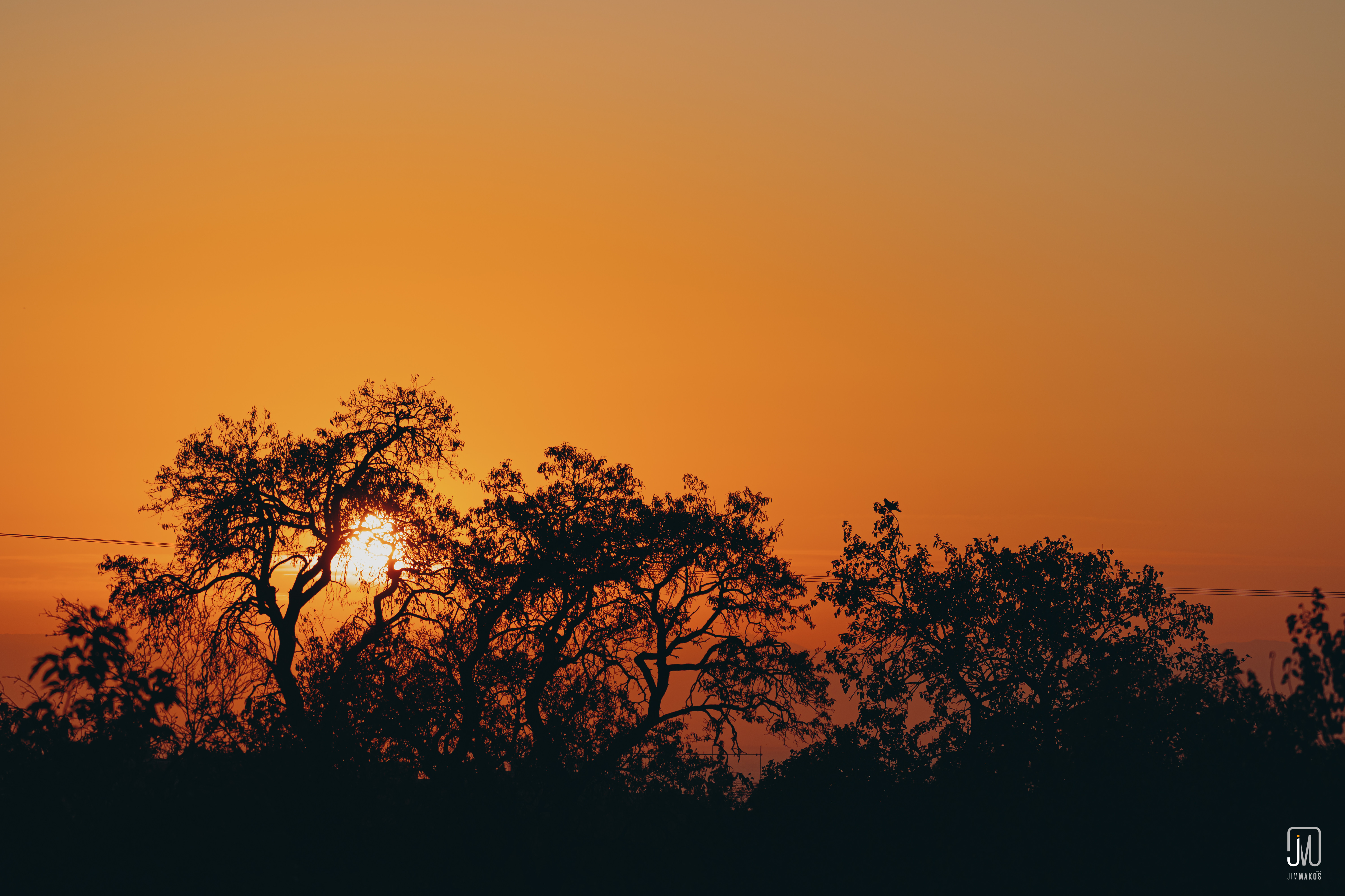Free download wallpaper Branches, Nature, Sunset, Sun, Dark on your PC desktop