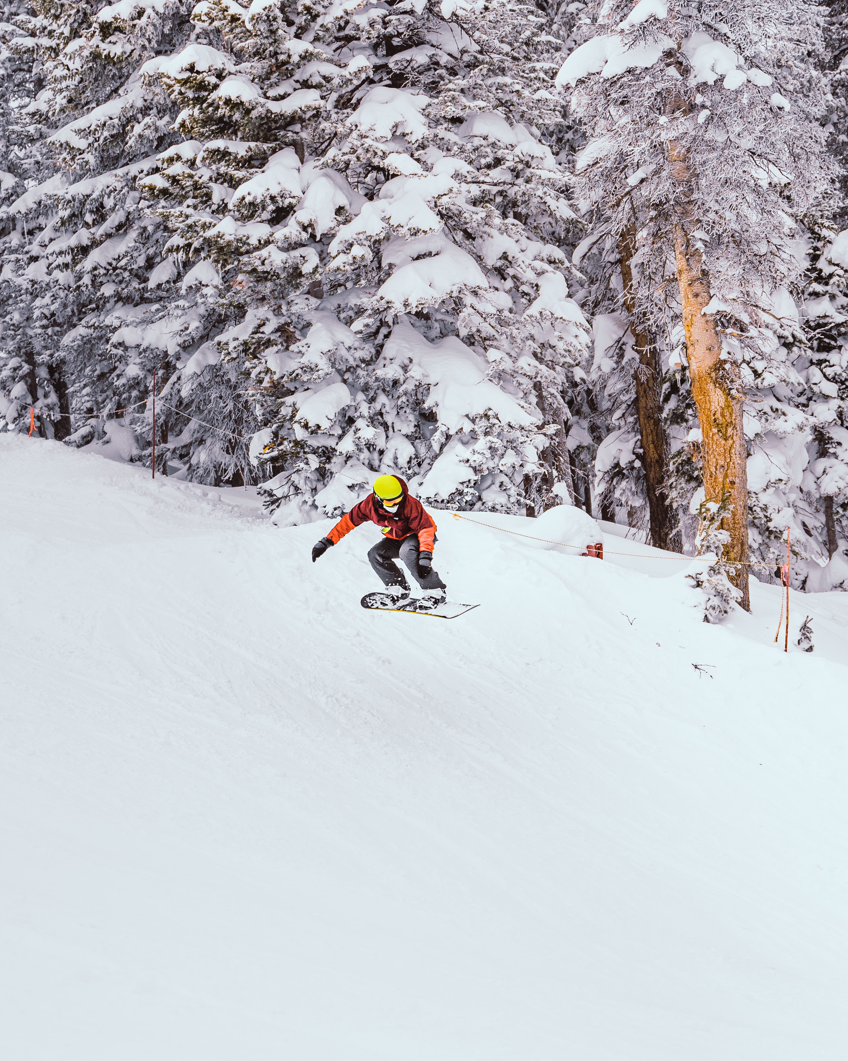 156418壁紙のダウンロードスポーツ, 冬, 木, 雪, スノーボード, 跳ねる 弾む, 跳ねる, スノーボーダー-スクリーンセーバーと写真を無料で