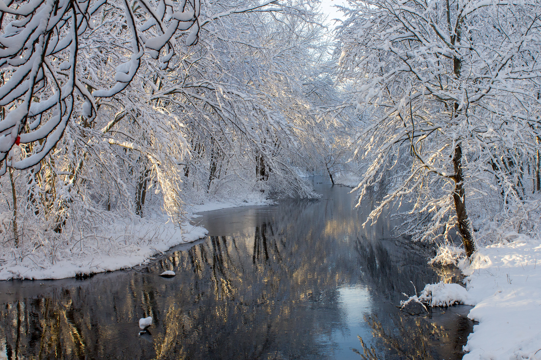 Baixar papel de parede para celular de Inverno, Neve, Rio, Árvore, Terra/natureza gratuito.