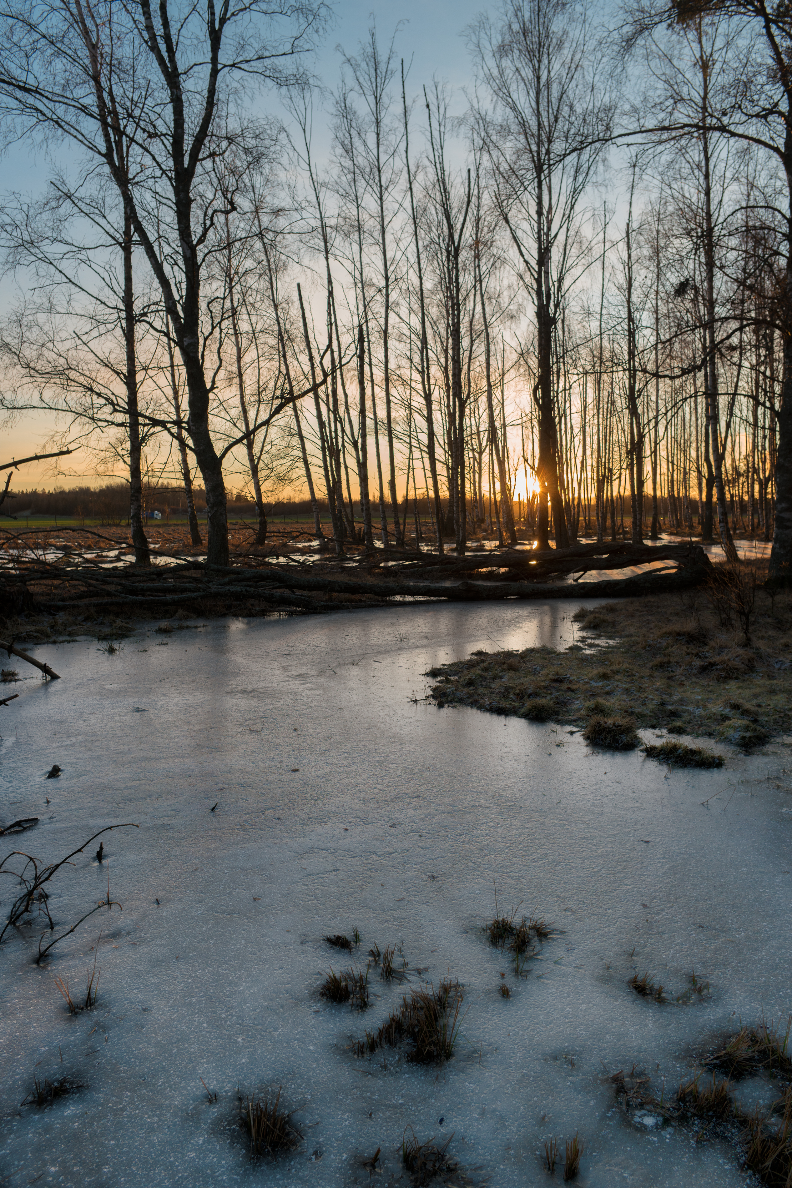 nature, trees, sunset, ice, creek, brook 32K