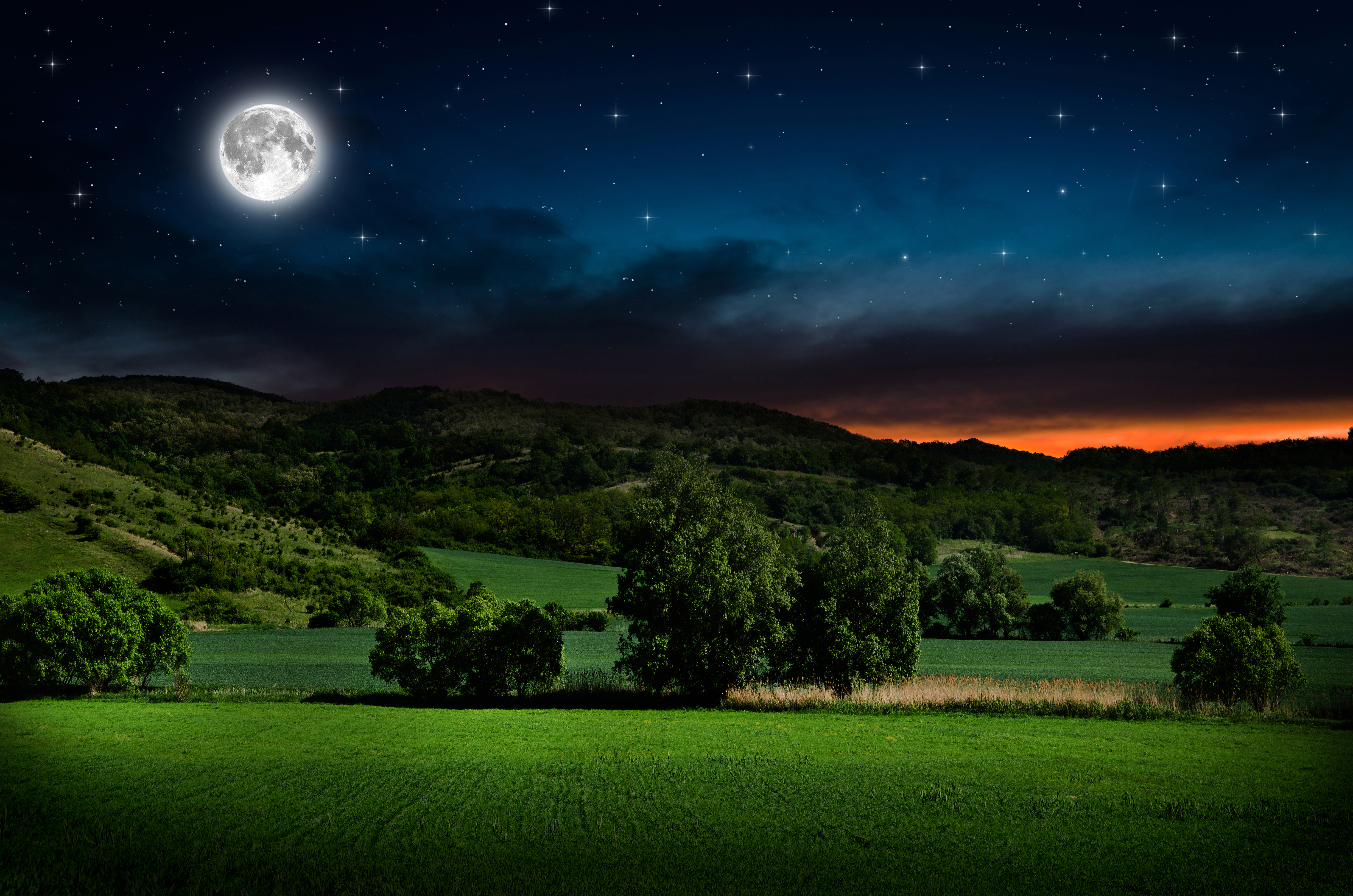 field, moon, starry sky, night, sky, earth