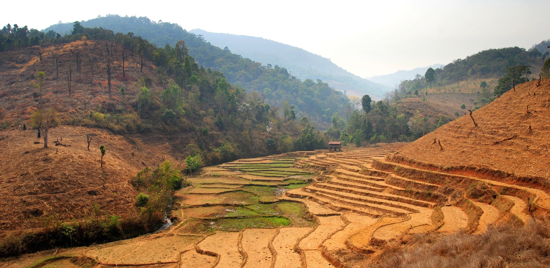Free download wallpaper Man Made, Rice Terrace on your PC desktop